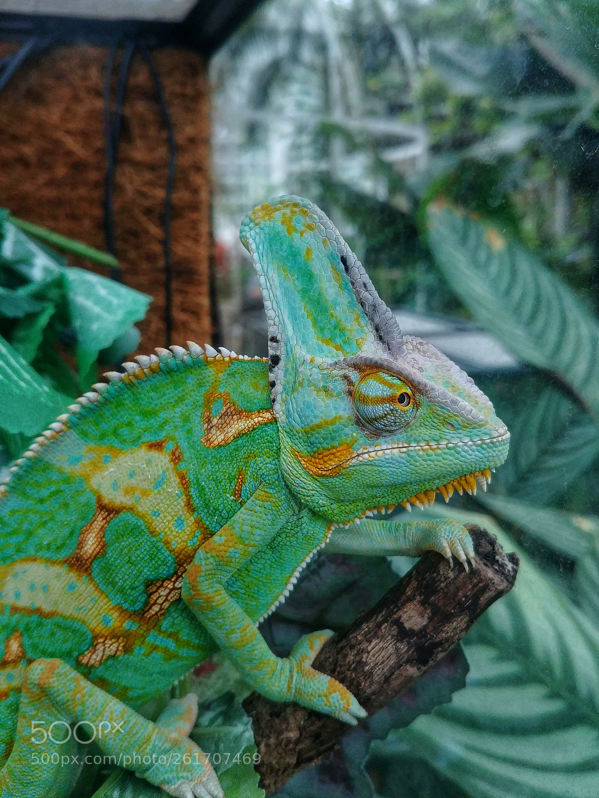 LG G6 sample photo. 20180602_130525-01.jpeg photography