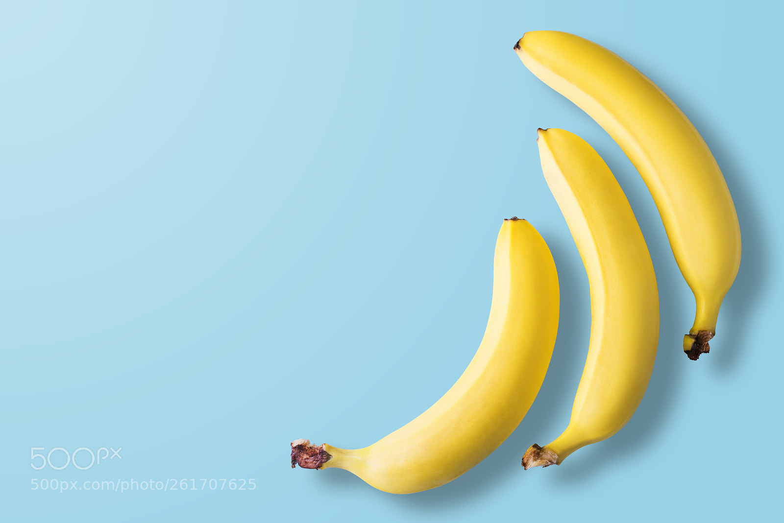 Nikon D810 sample photo. Bananas on pastel blue photography