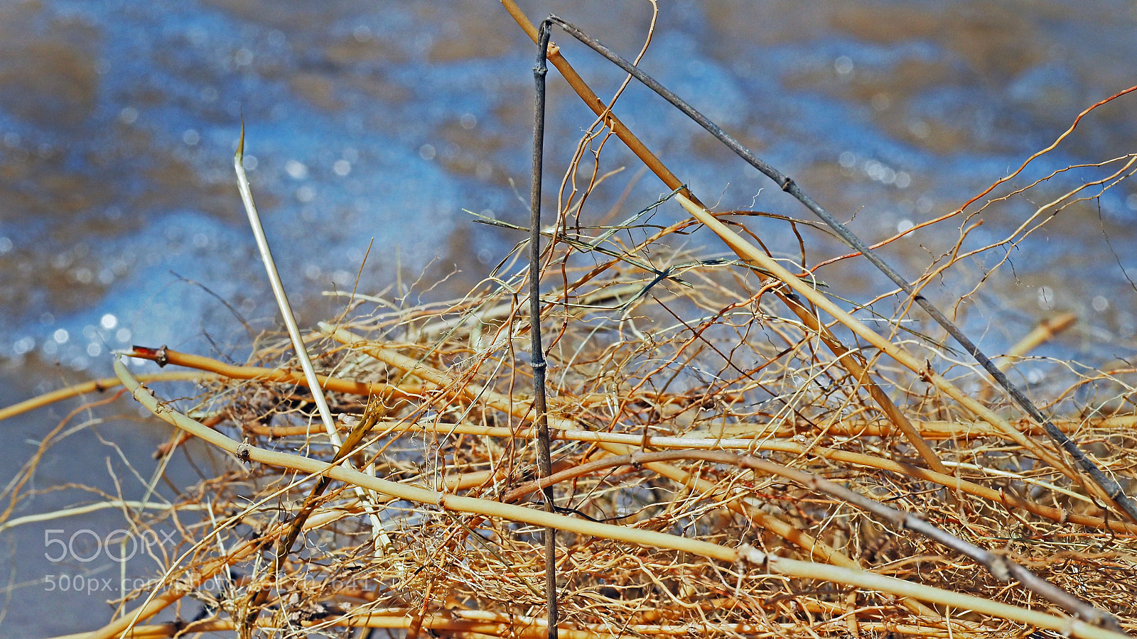 Olympus OM-D E-M5 II sample photo. Wrack photography