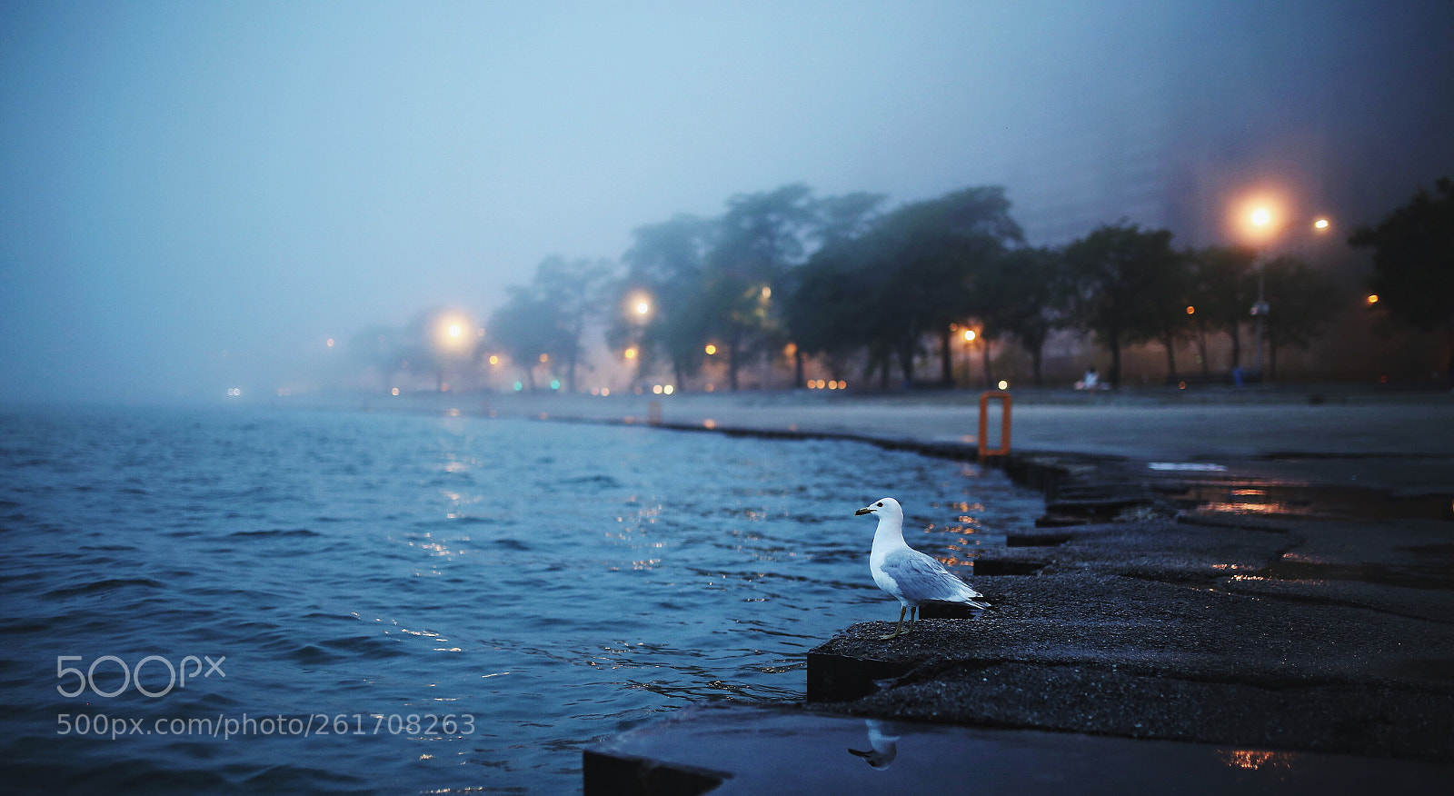 Canon EOS 6D sample photo. 003 photography