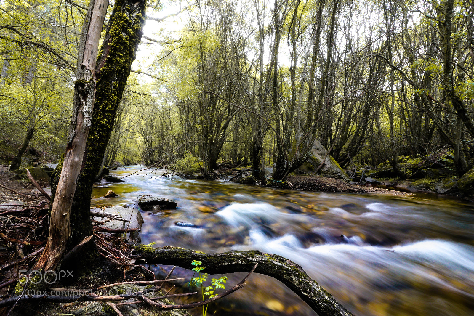 Canon EOS 80D sample photo. River photography