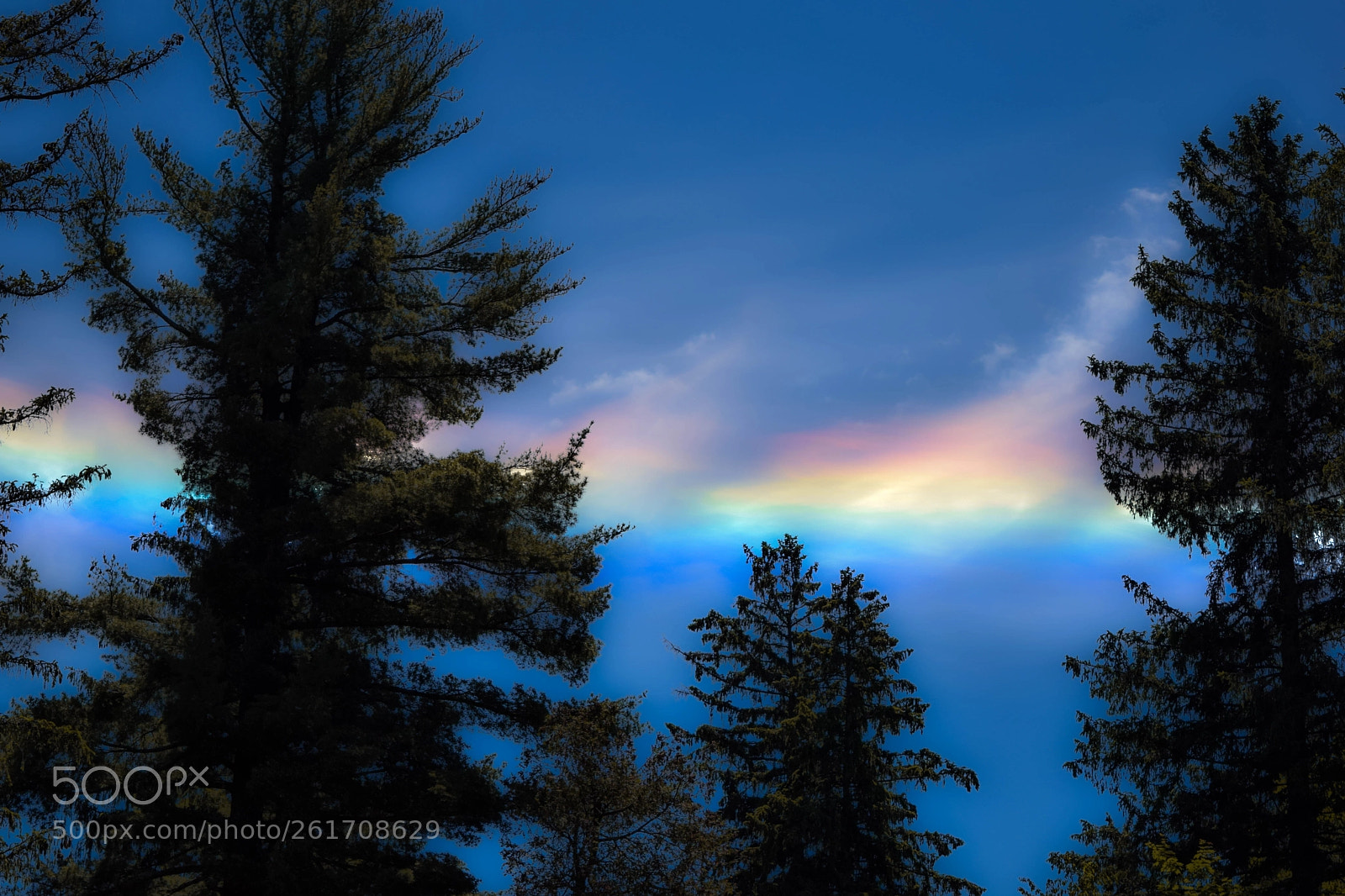 Nikon D5300 sample photo. Ice halo photography