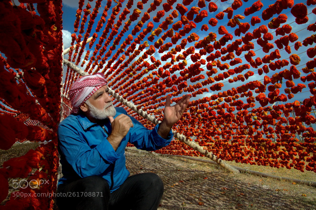 Nikon D90 sample photo. Pepper drying photography