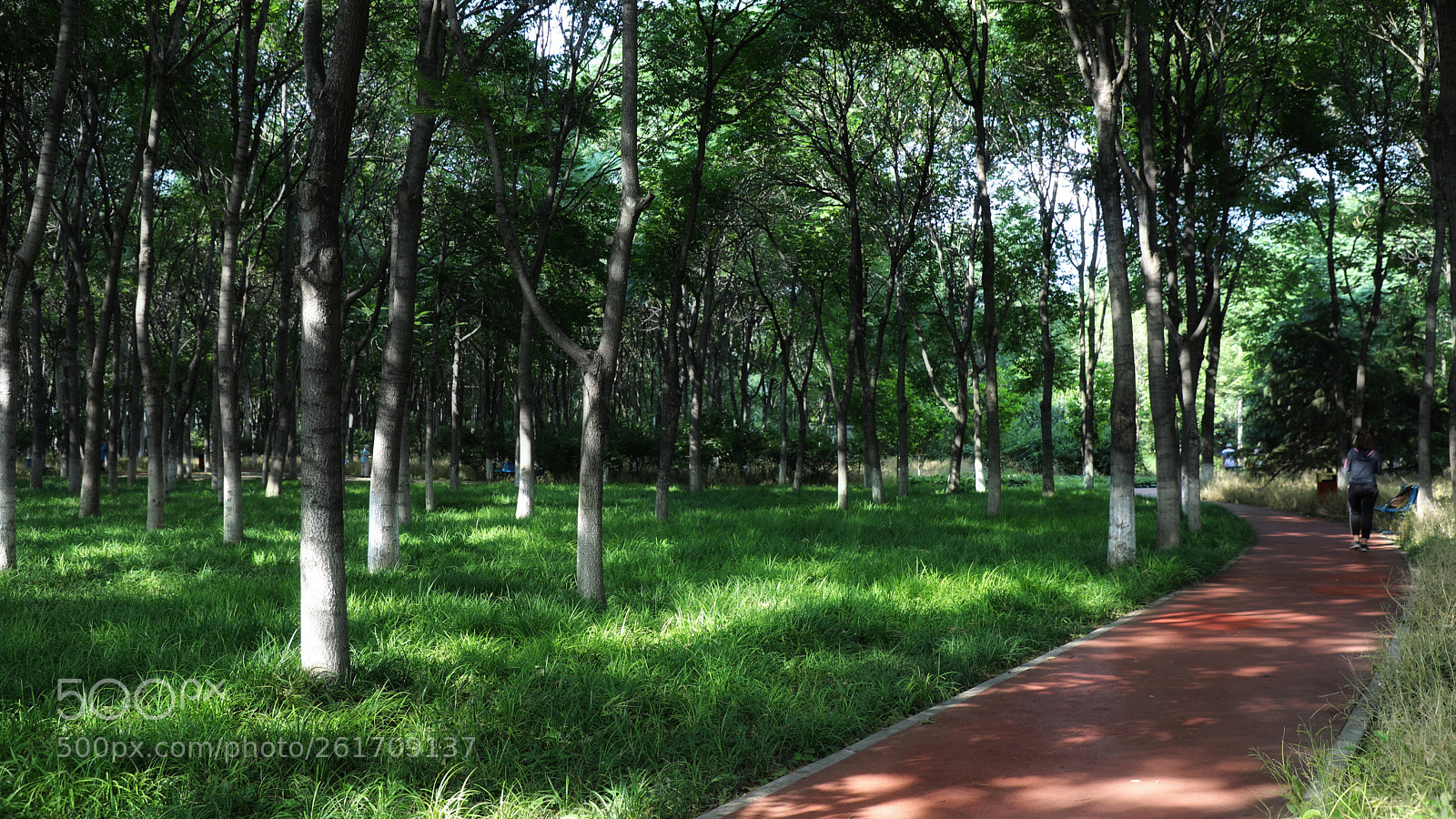 Canon EOS 5D Mark IV sample photo. Untitled photography