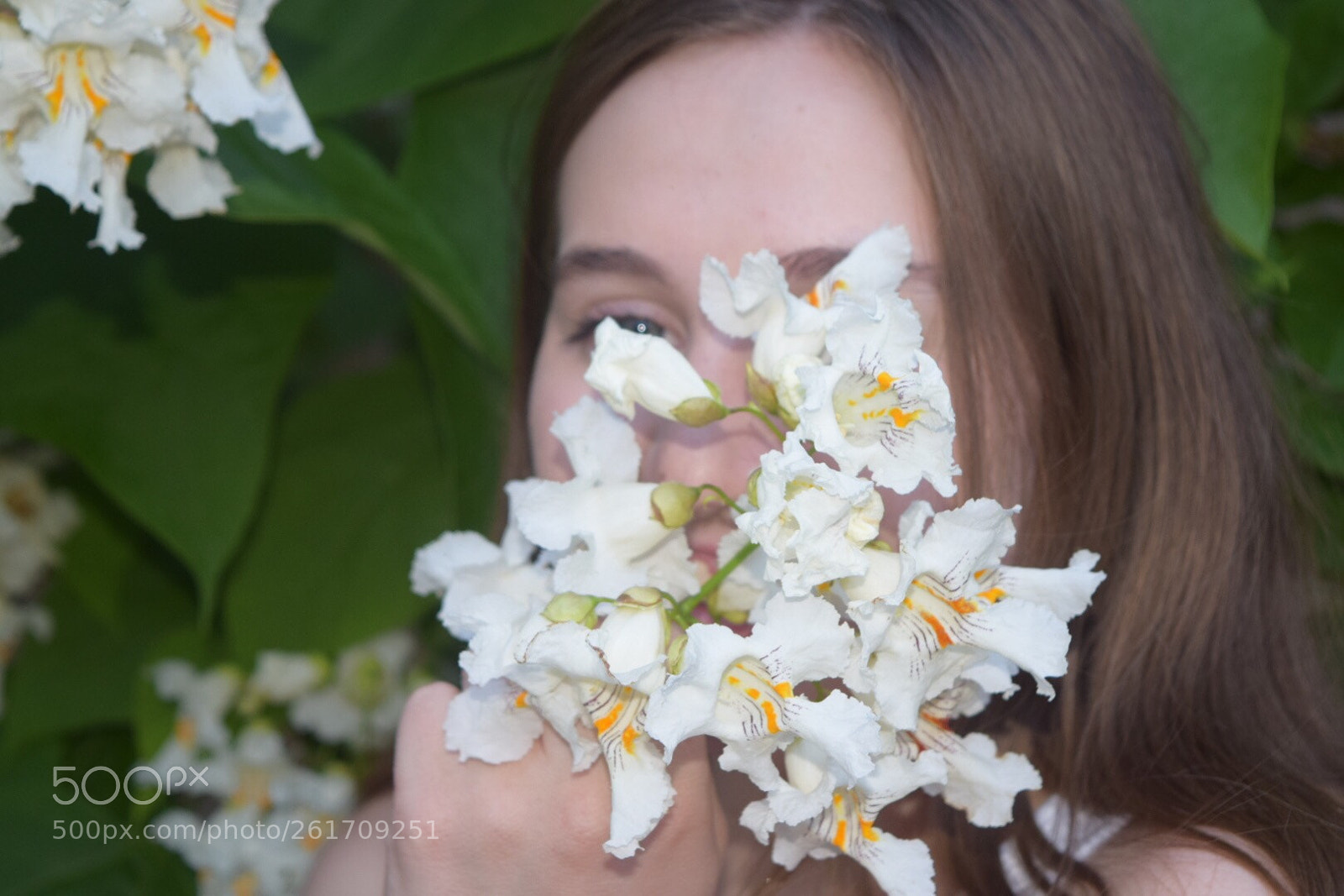 Nikon D5300 sample photo. Floral flora  photography