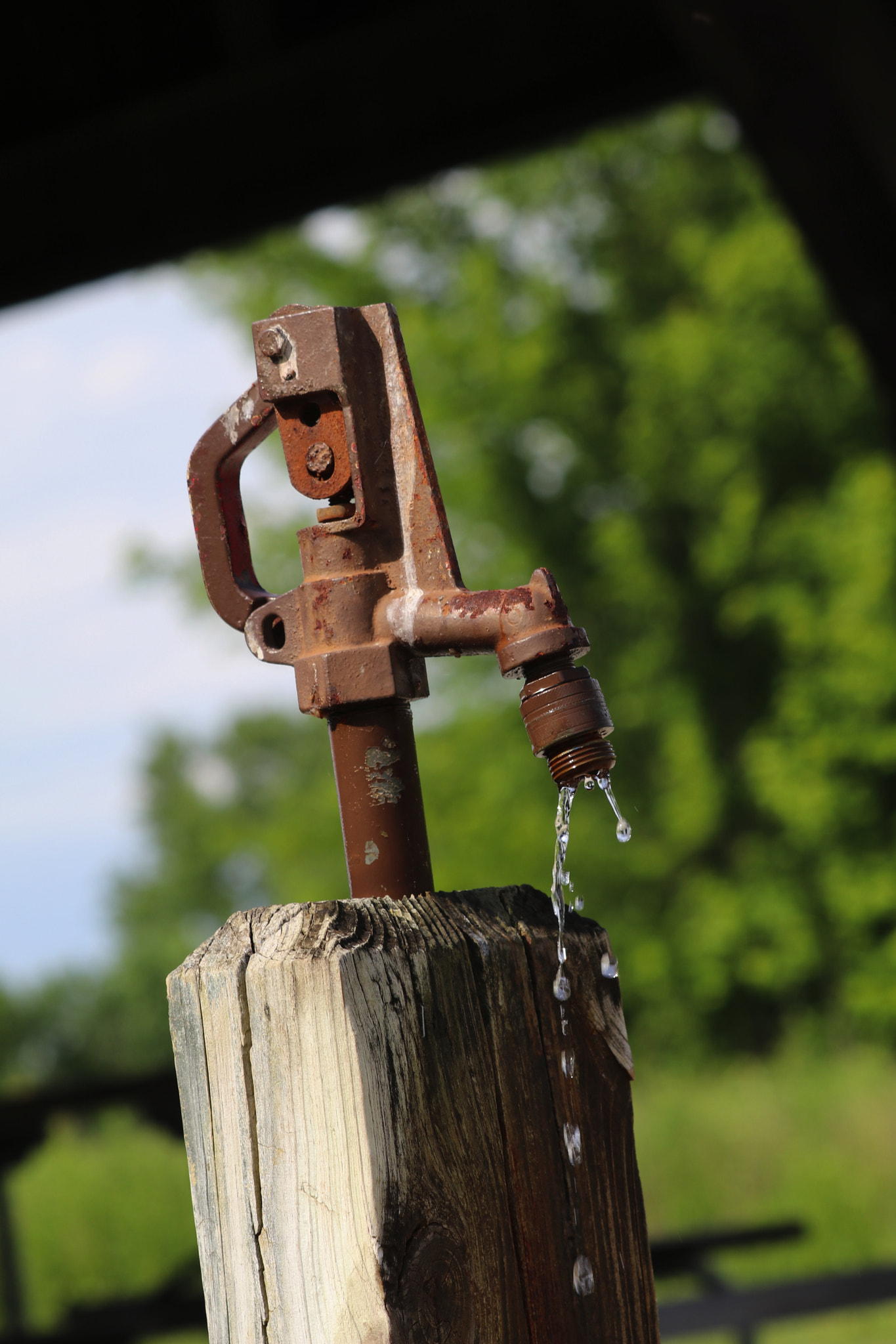 Canon EF 70-300 F4-5.6 IS II USM sample photo. Well water photography