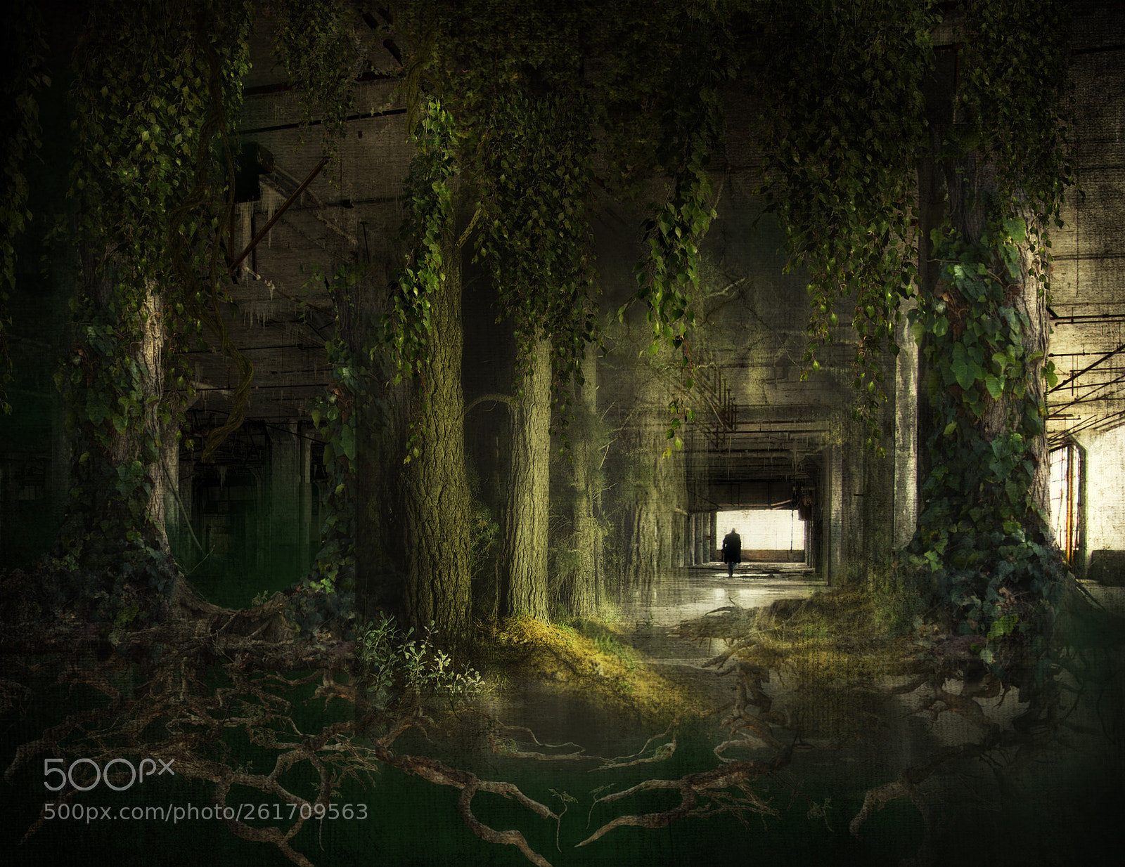 Nikon D600 sample photo. Alien world photography