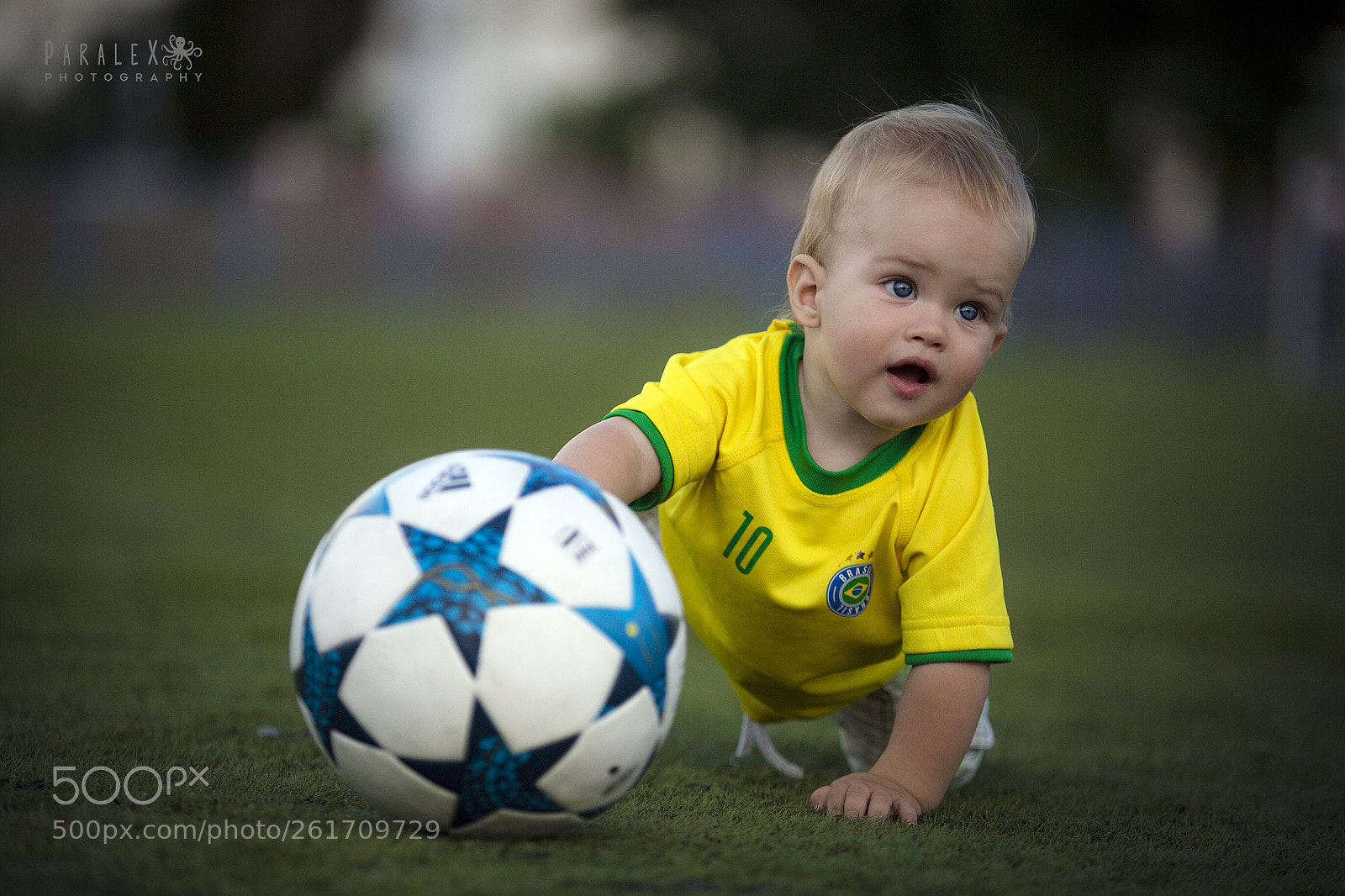 Canon EOS 6D sample photo. Interception photography