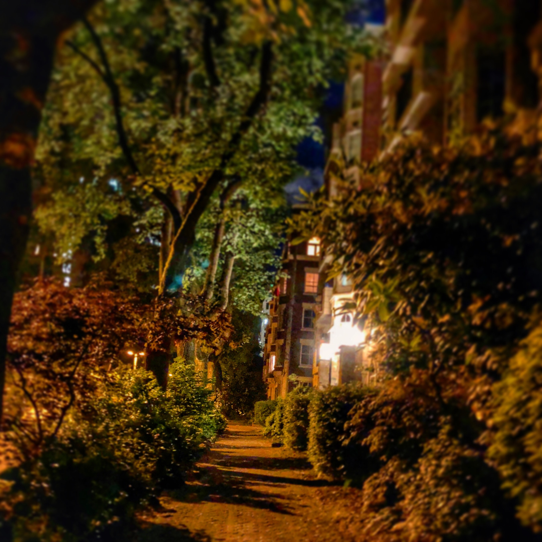 Apple iPhone 8 Plus sample photo. Late night in the west end  photography