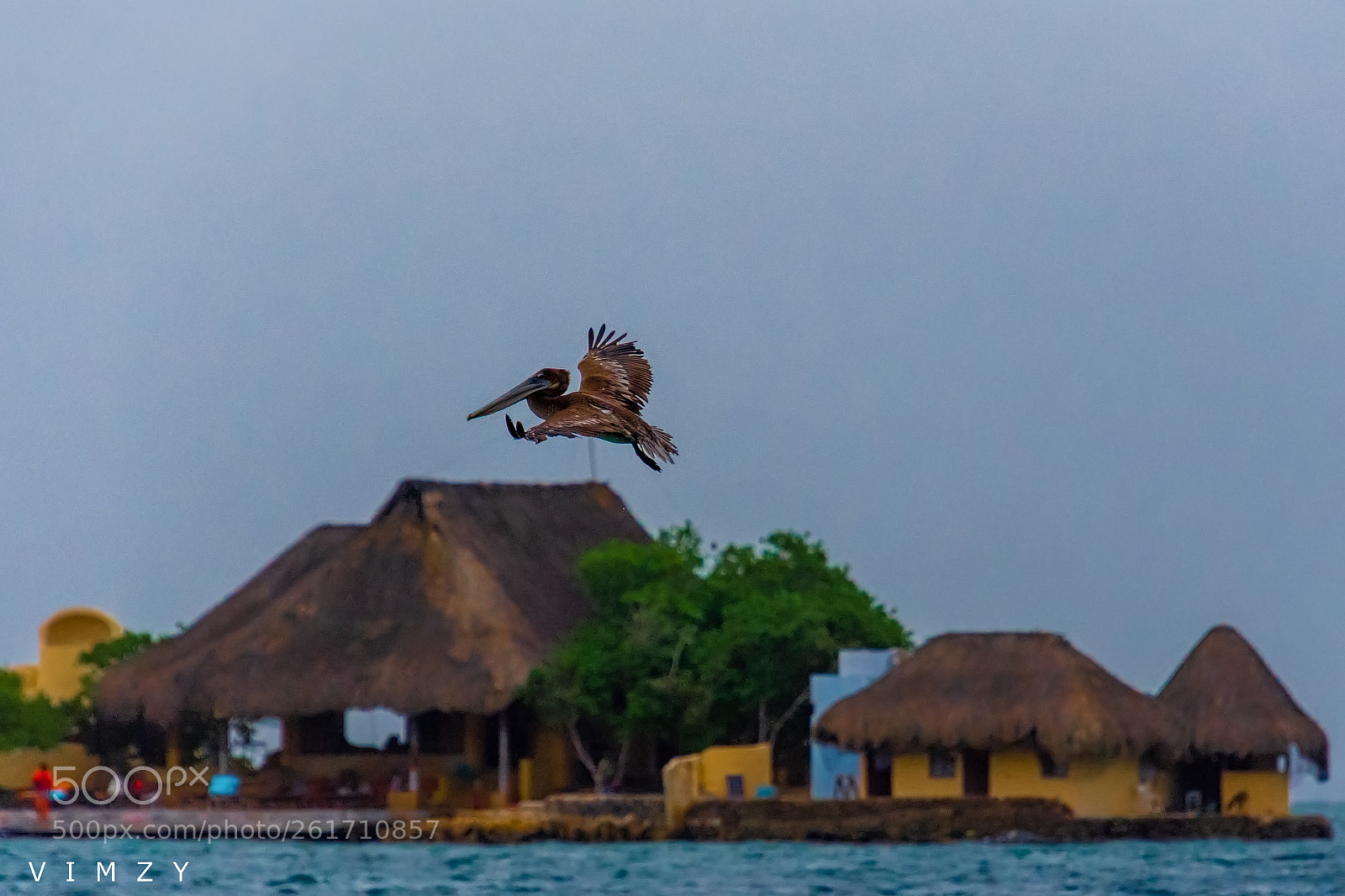 Nikon D7200 sample photo. Let me jump photography