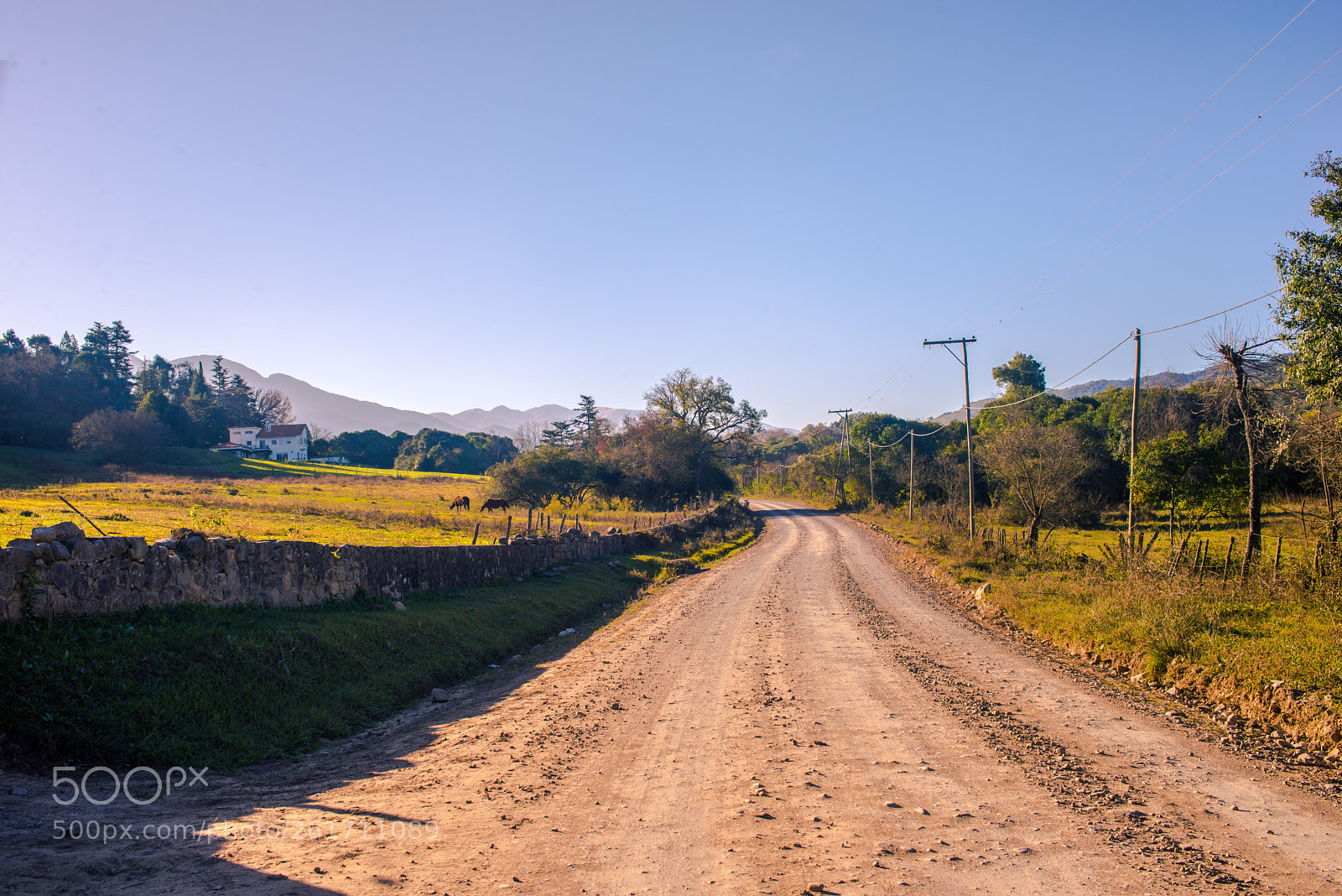 Nikon D610 sample photo. Camino lesser, salta photography
