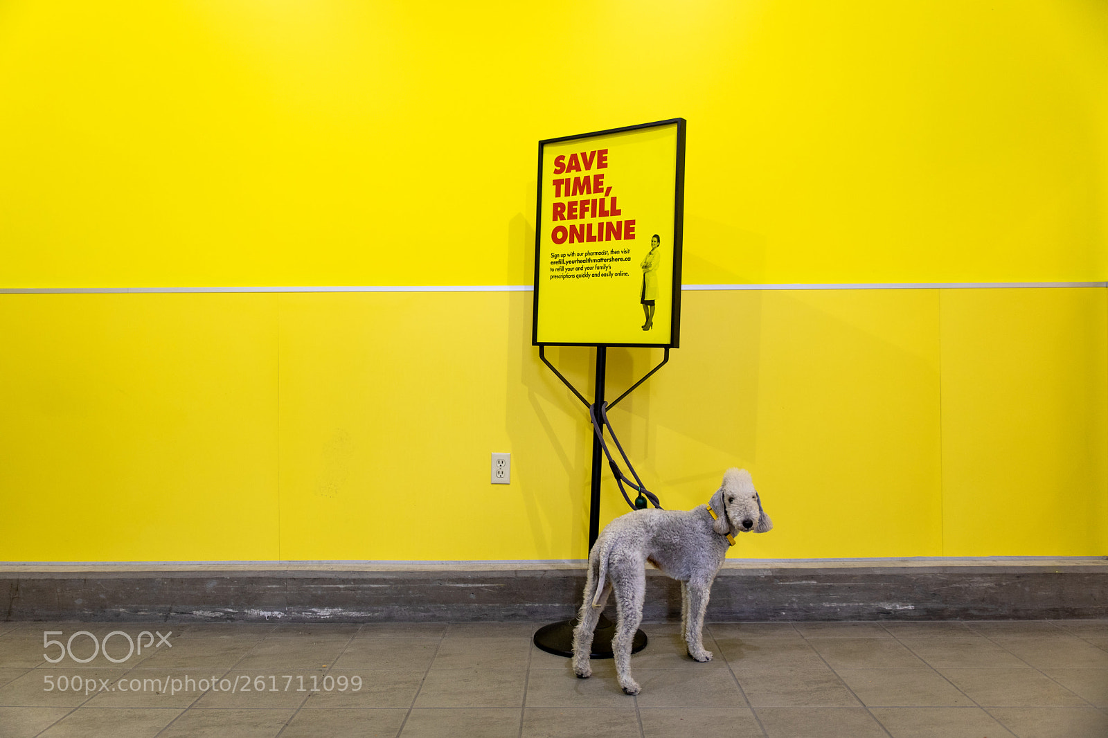 Canon EOS 5D Mark IV sample photo. Colour coordinated photography