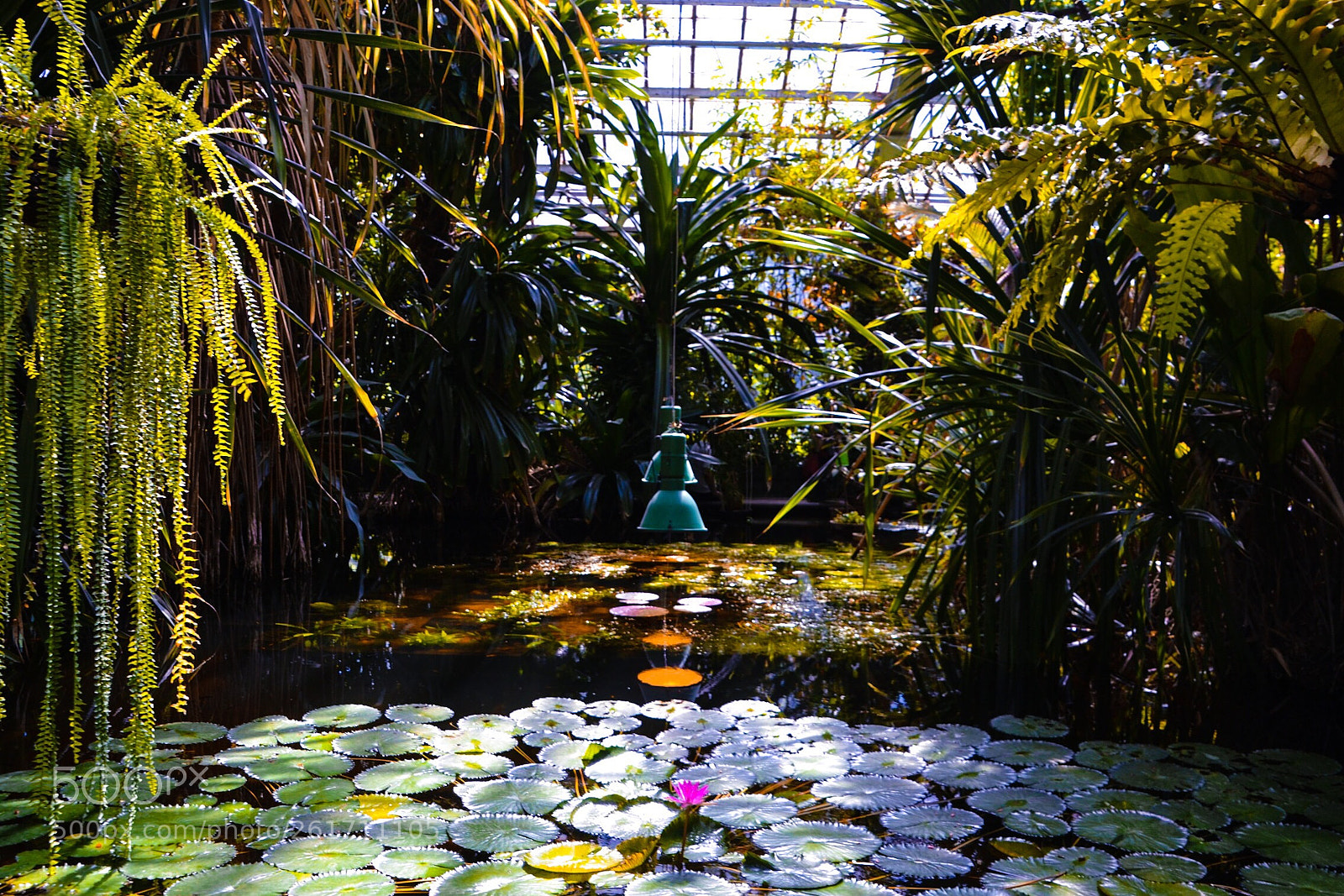 Nikon D3100 sample photo. Untitled photography