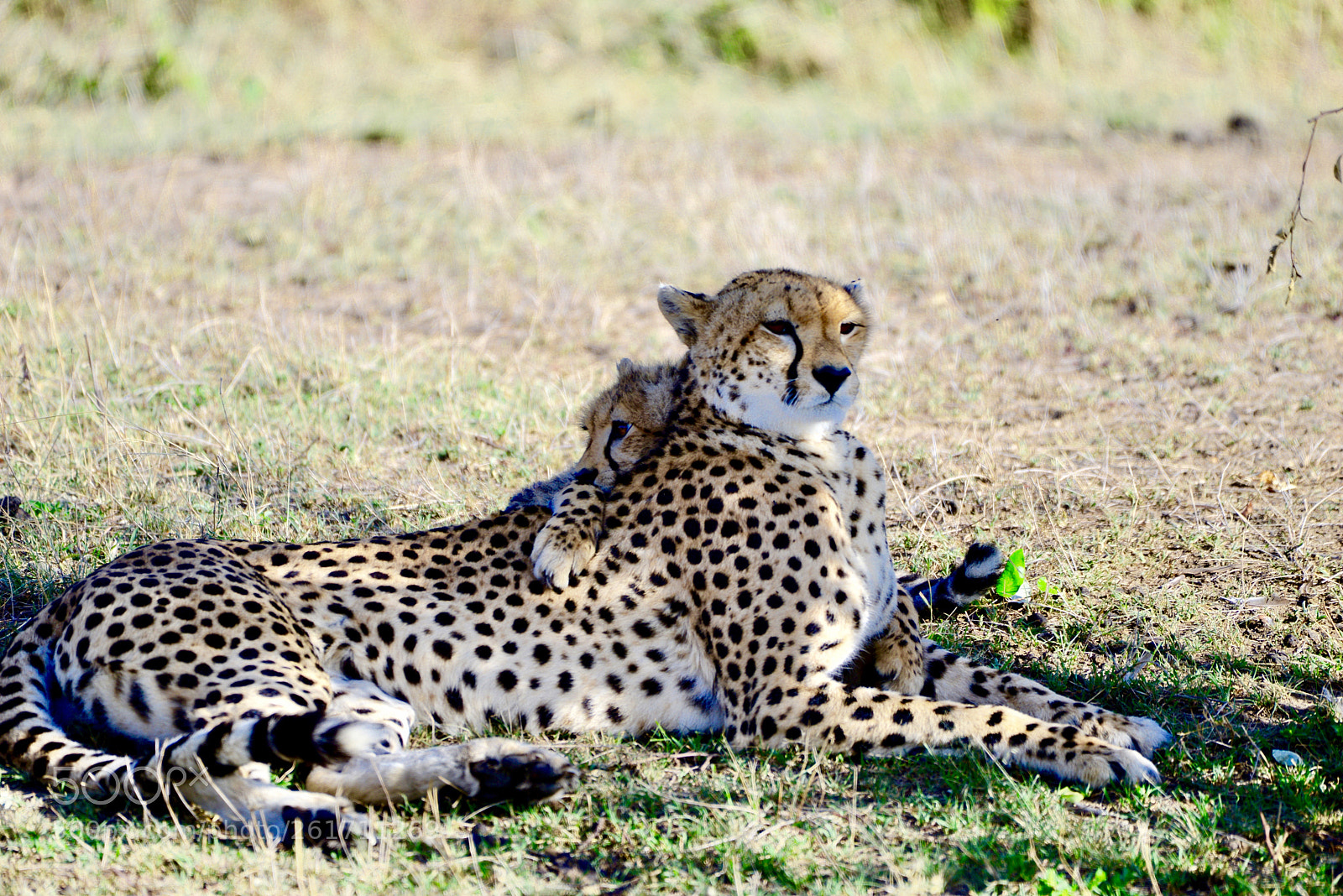 Nikon D800 sample photo. Mother and daughter chilling photography