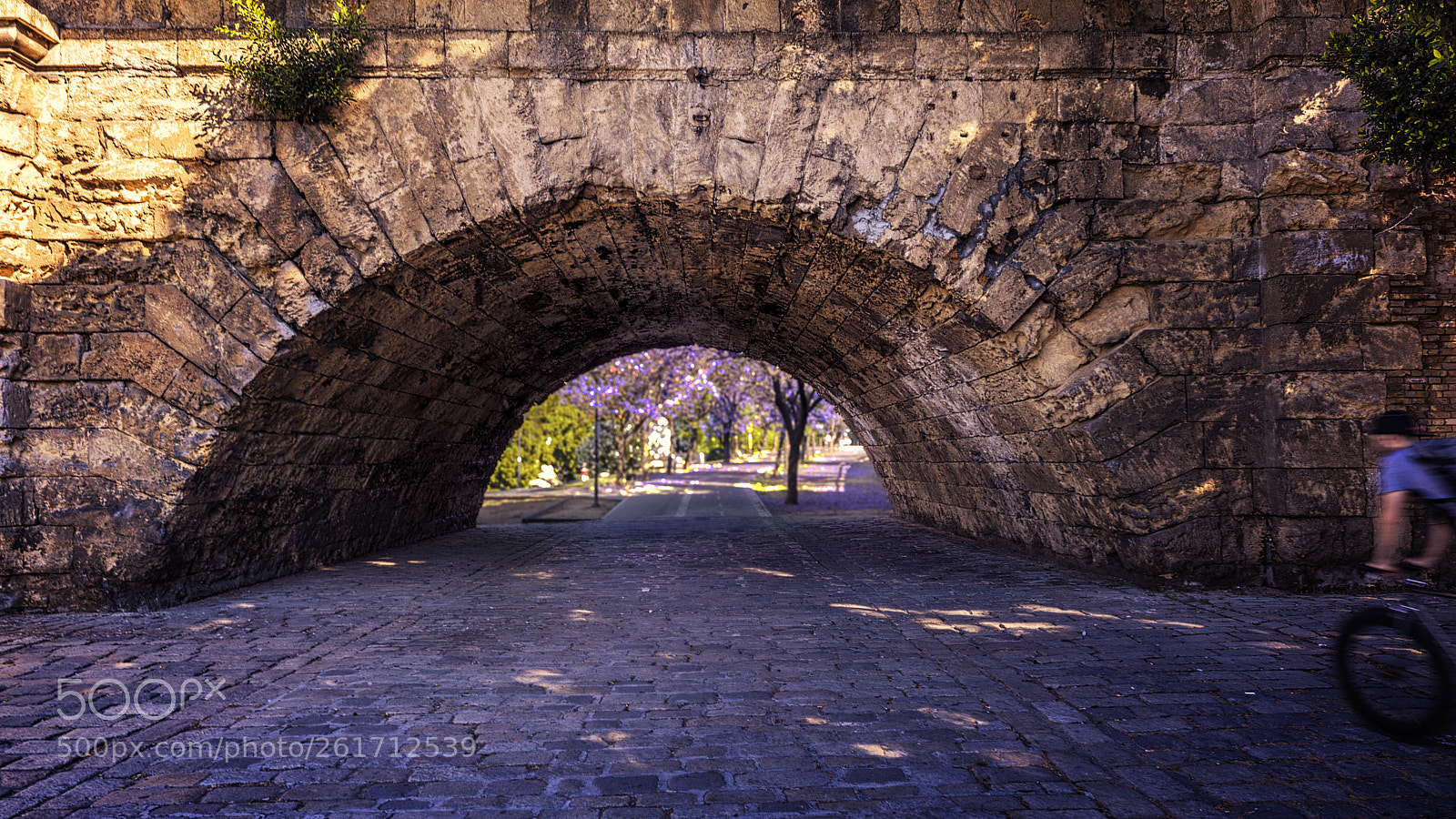 Canon EOS 5D Mark IV sample photo. Paseo a orillas de photography