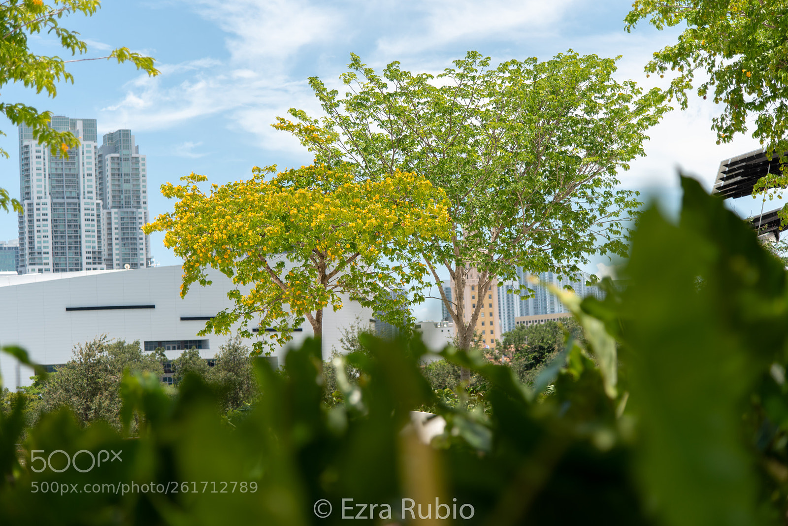 Nikon D750 sample photo. Miami museum park photography