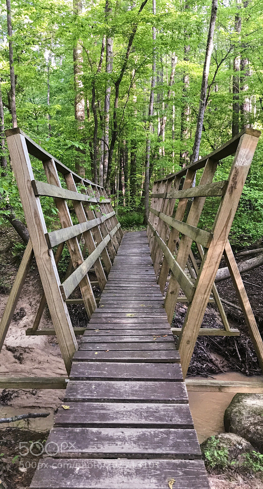 Apple iPhone 7 Plus sample photo. Mountain biking  photography