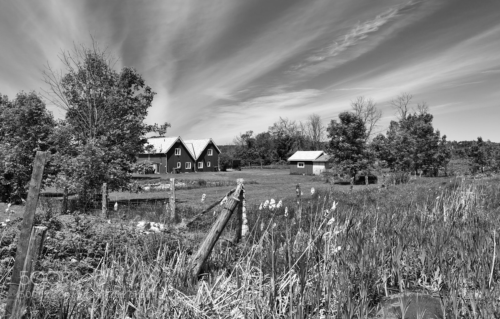 Nikon D610 sample photo. Perspective of canadian spring photography