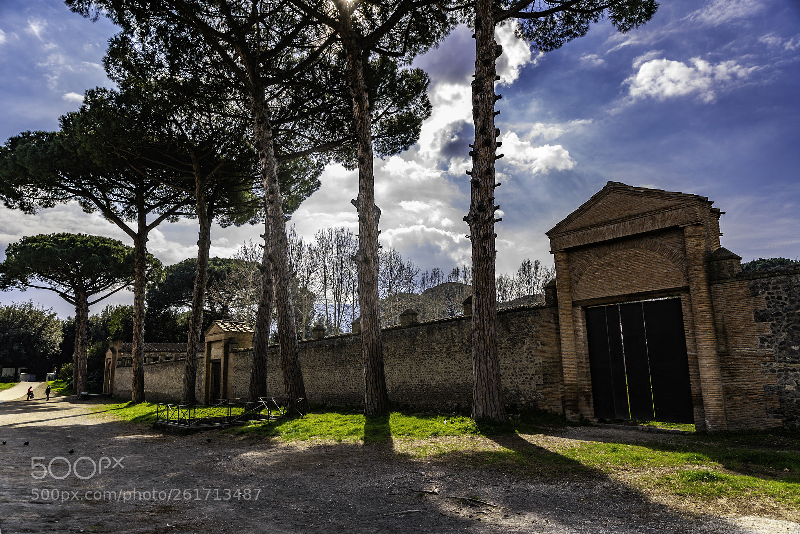 Nikon D610 sample photo. Pompeii photography