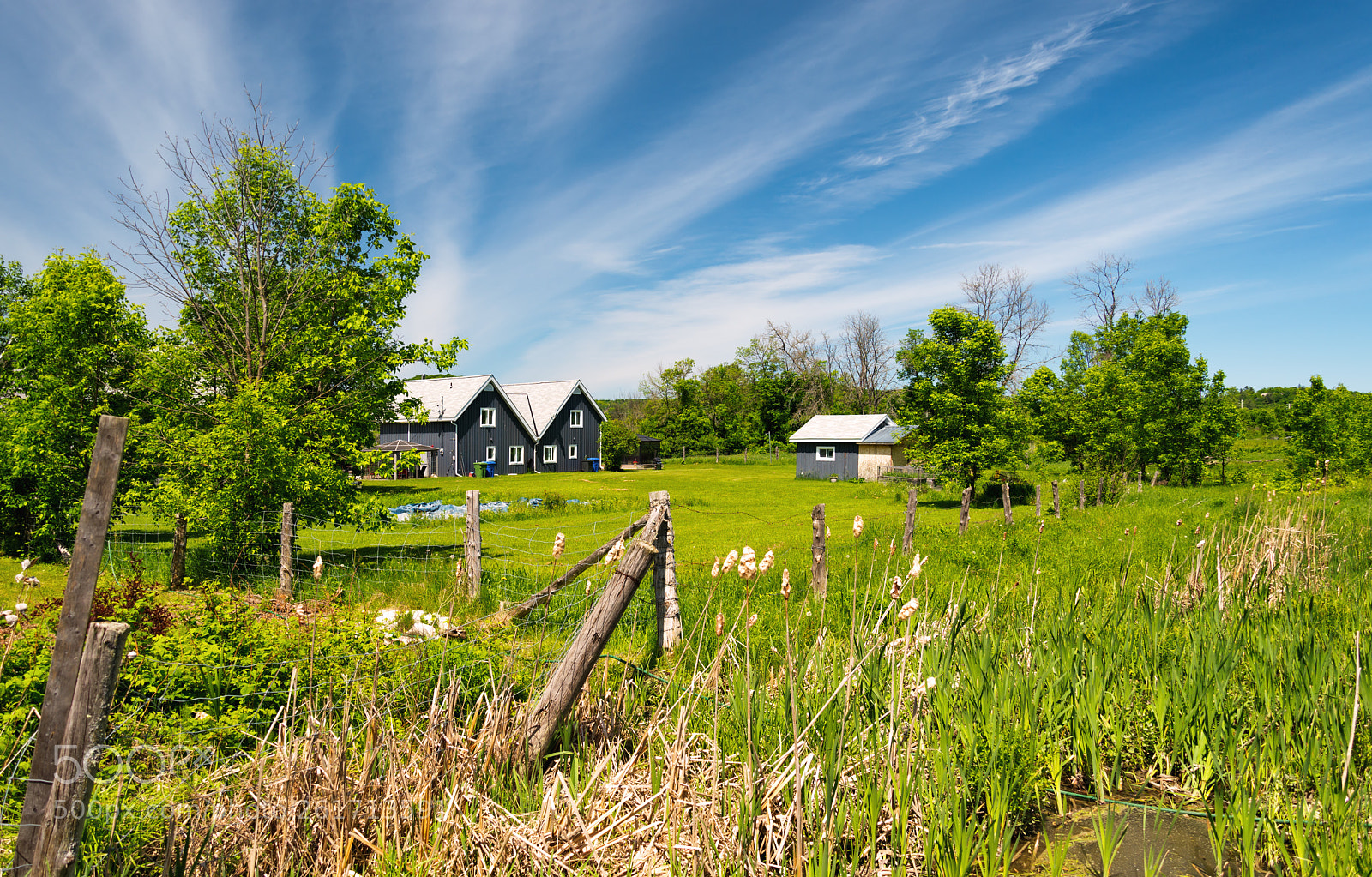 Nikon D610 sample photo. Perspective of spring photography