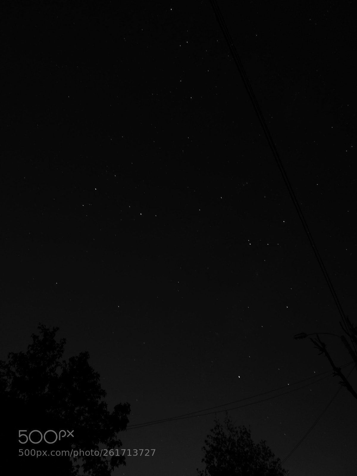 HUAWEI P10 sample photo. Scorpius photography