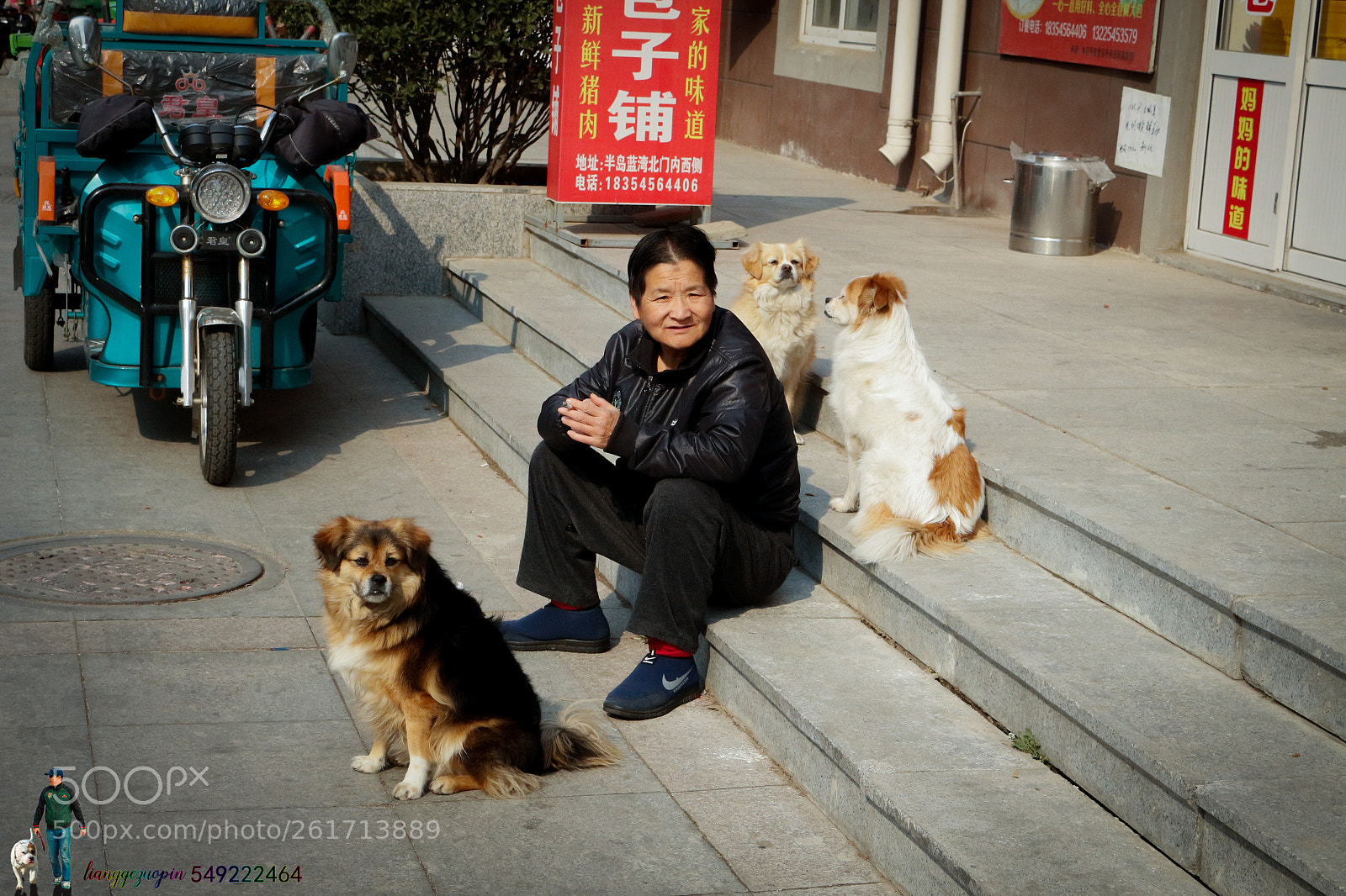 Canon EOS 700D (EOS Rebel T5i / EOS Kiss X7i) sample photo. 我们的朋友 photography