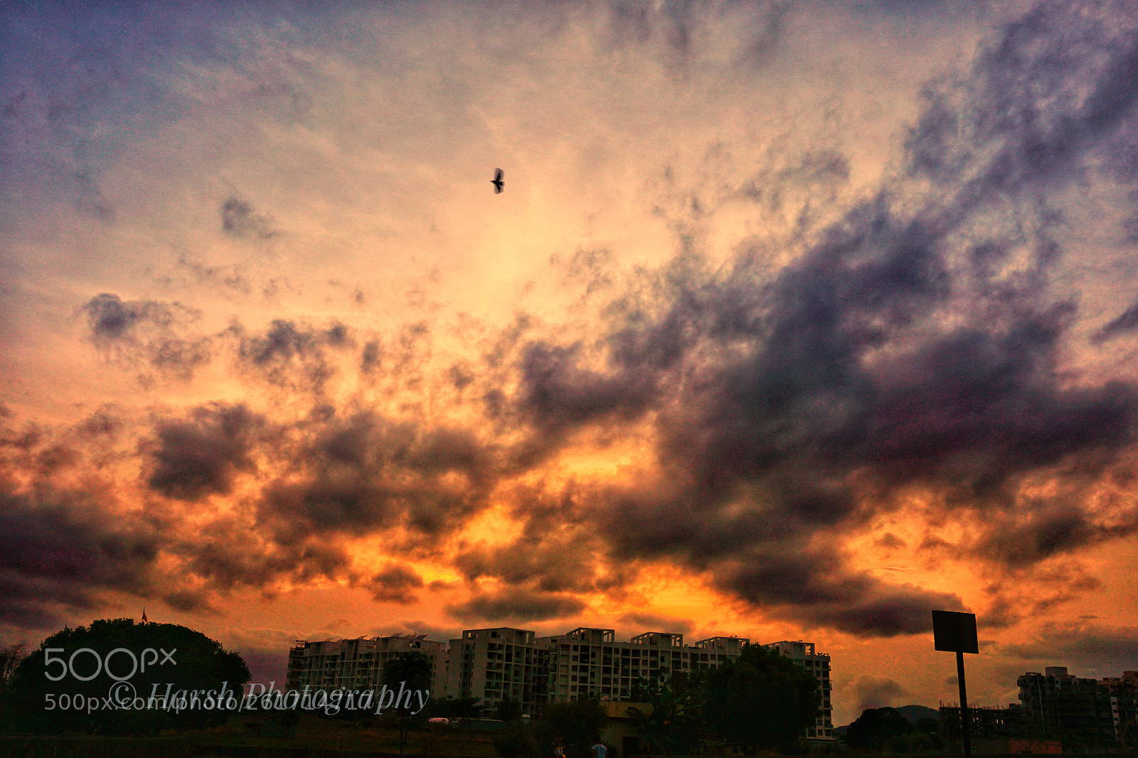 Sony a6000 sample photo. ??pretty amazing sunset..!! photography