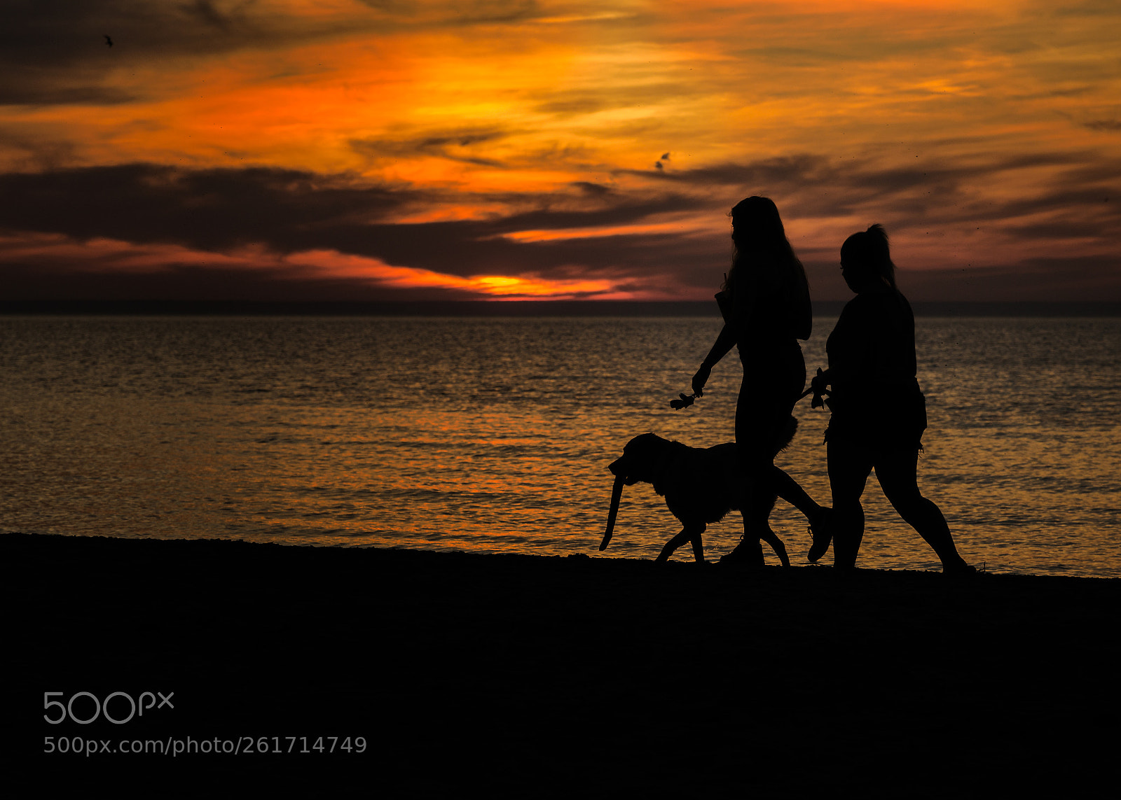 Canon EOS 80D sample photo. An evening stroll photography