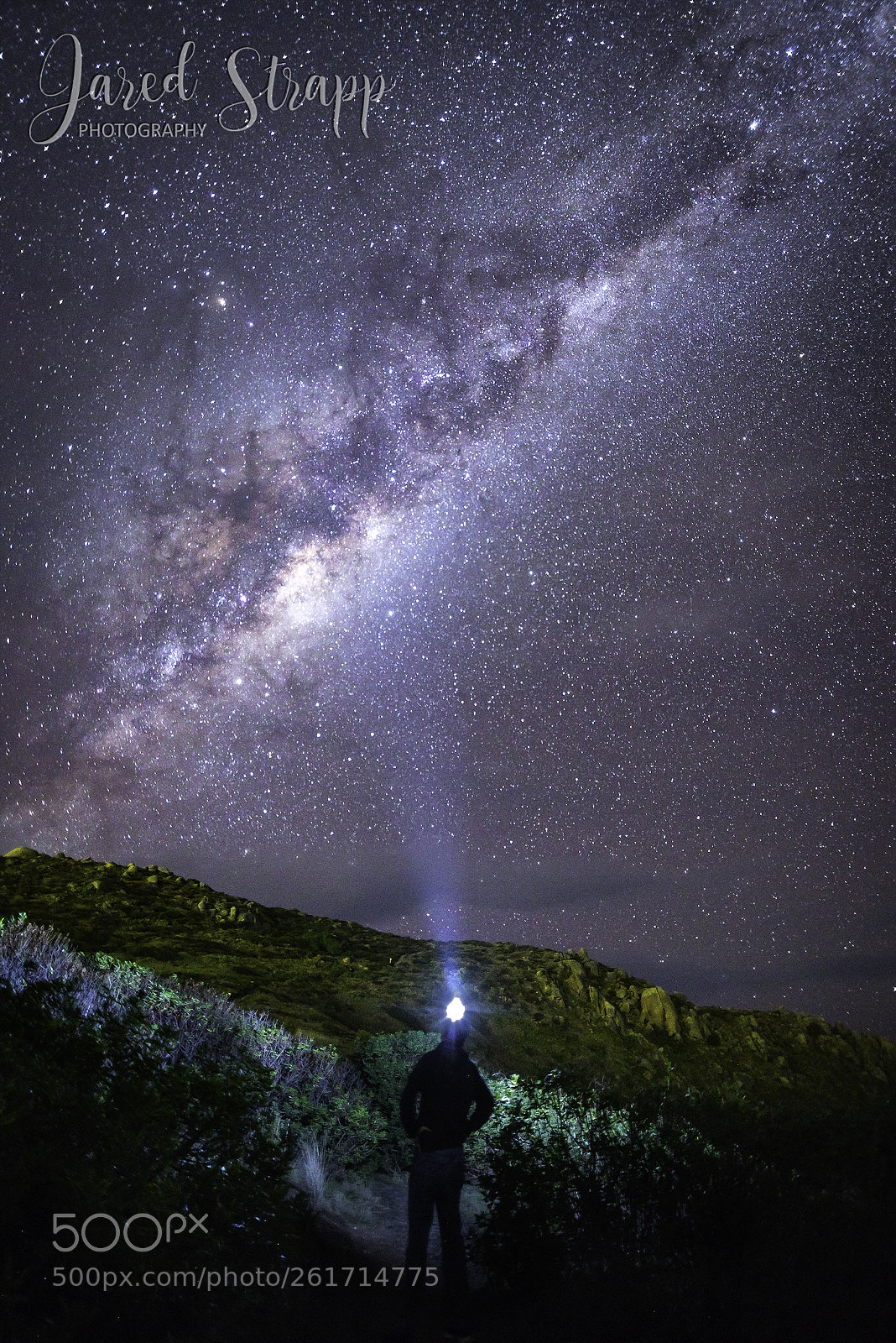Nikon D750 sample photo. Rosetta photography