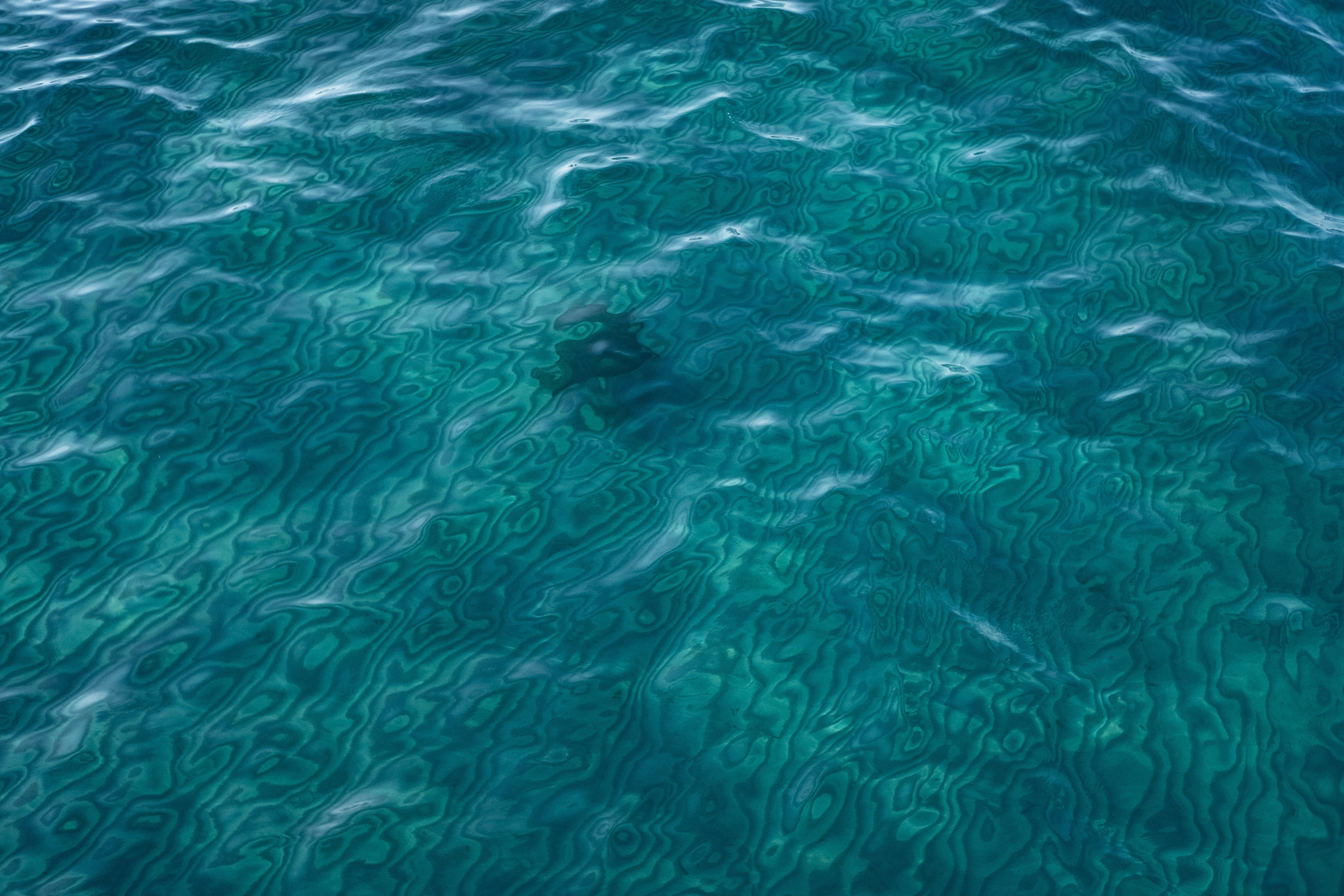 Fujifilm X-H1 sample photo. Abstract photography
