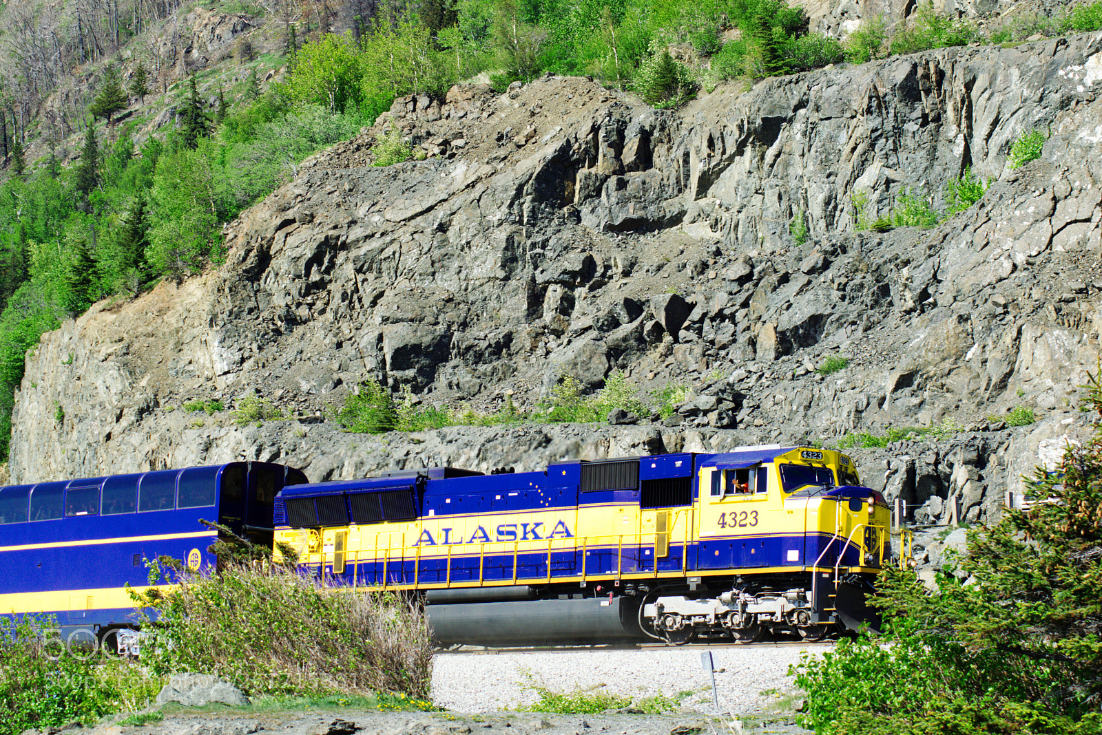Nikon D5300 sample photo. Alaska train photography