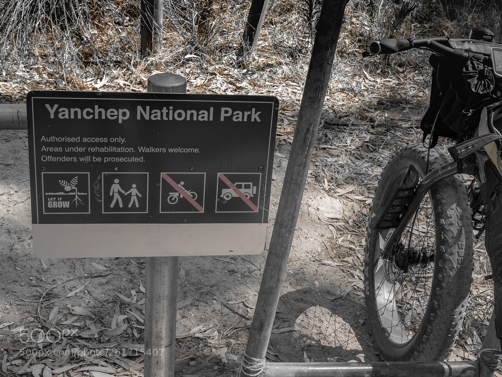 Olympus OM-D E-M5 II sample photo. Not banned but …? {ybht 14} photography