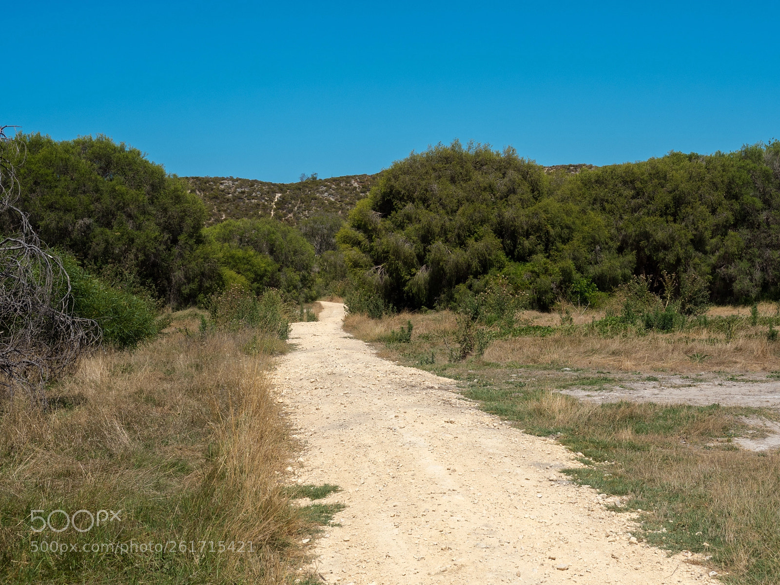 Olympus OM-D E-M5 II sample photo. Limestone {ybht 16} photography