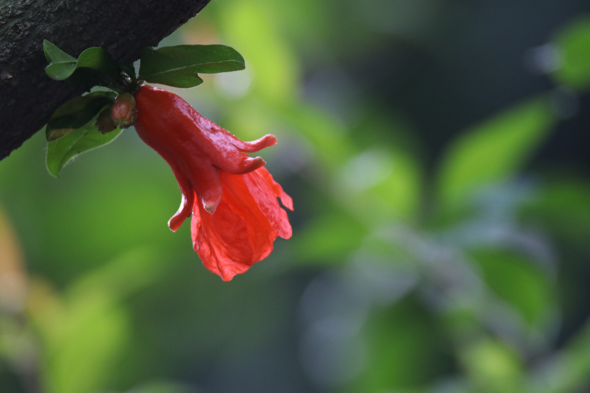 Tamron SP 150-600mm F5-6.3 Di VC USD sample photo. 期待expect photography