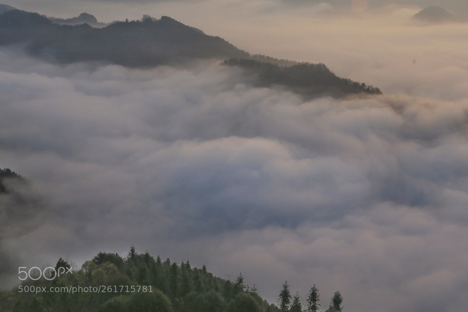 Canon EOS 6D sample photo. 钟山云海 photography