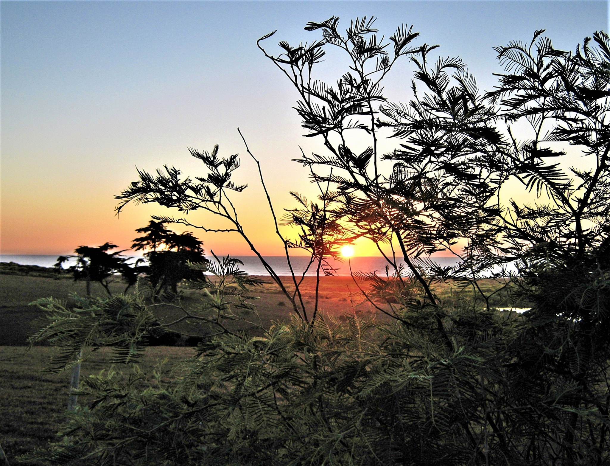 Canon PowerShot A470 sample photo. Atardecer en el océano pacífico photography