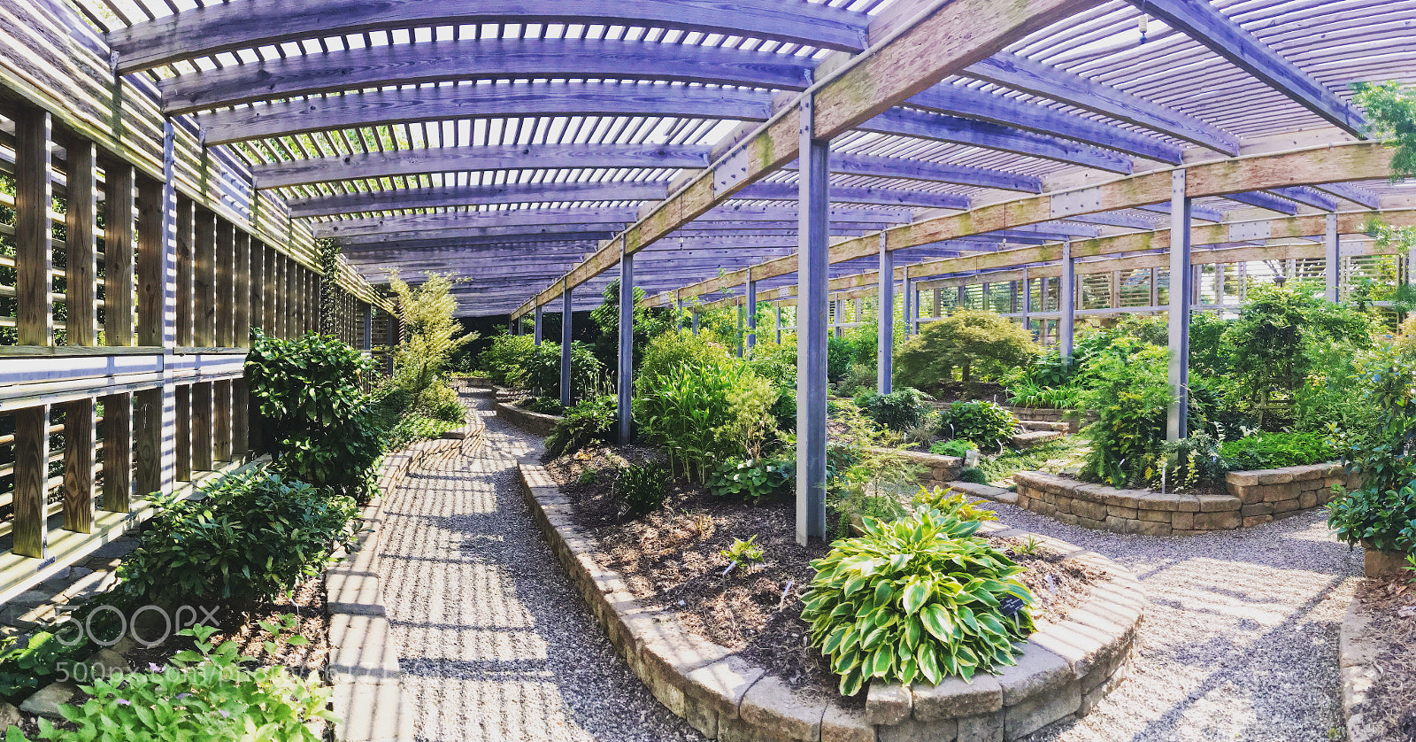 Apple iPhone 7 Plus sample photo. Pano at jc raulston photography