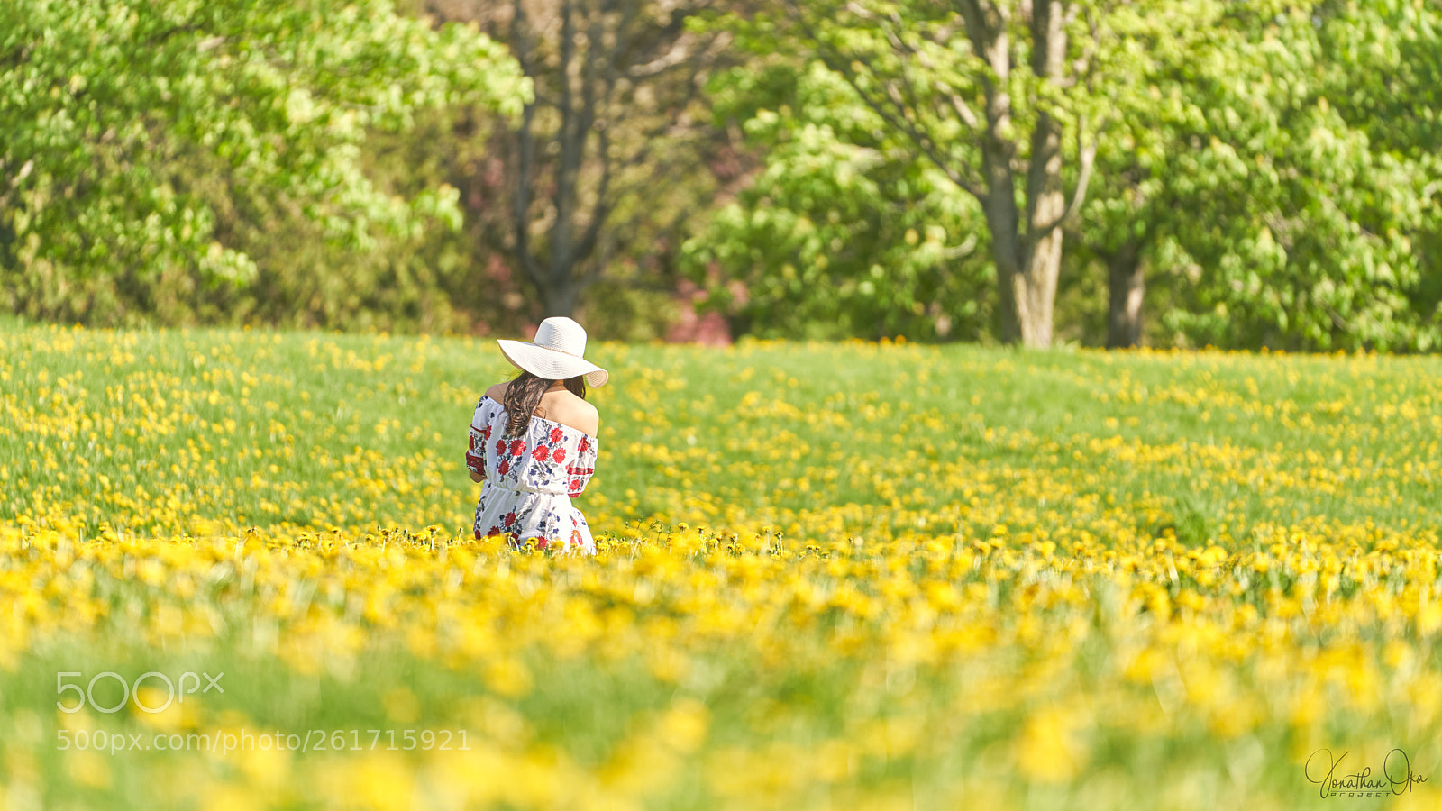 Sony a7R III sample photo. In the middle of photography