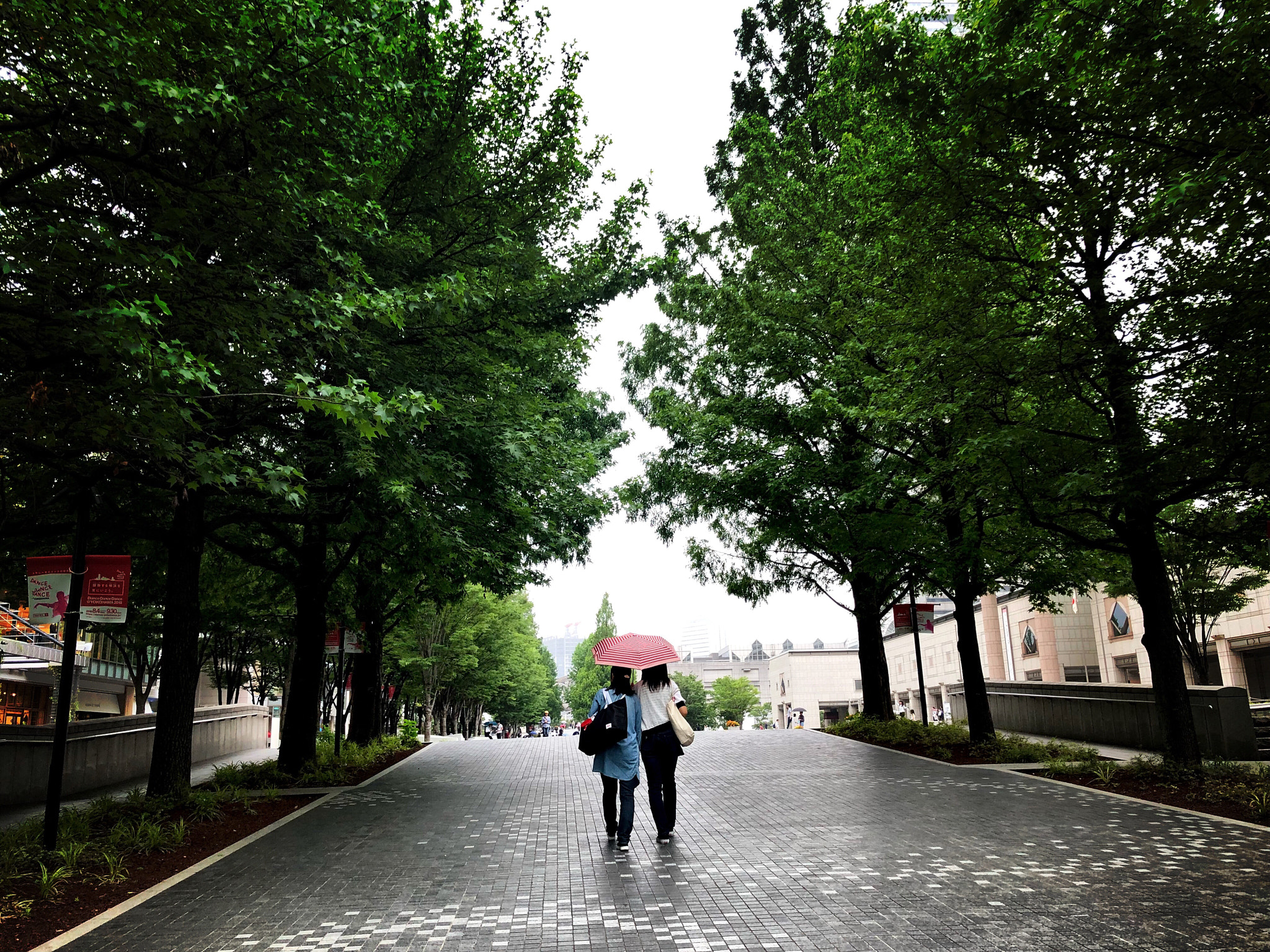 Apple iPhone X sample photo. Series of iphonex captures a day in life.
yokohama kanagawa  japan
 photography