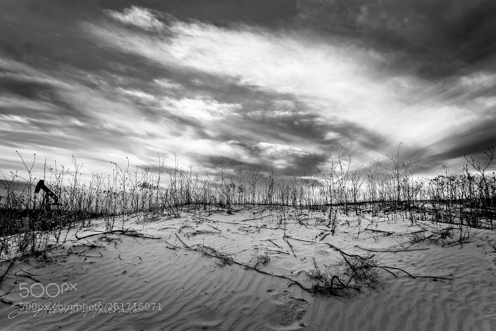Sony ILCA-77M2 sample photo. Monahans sand dunes. photography