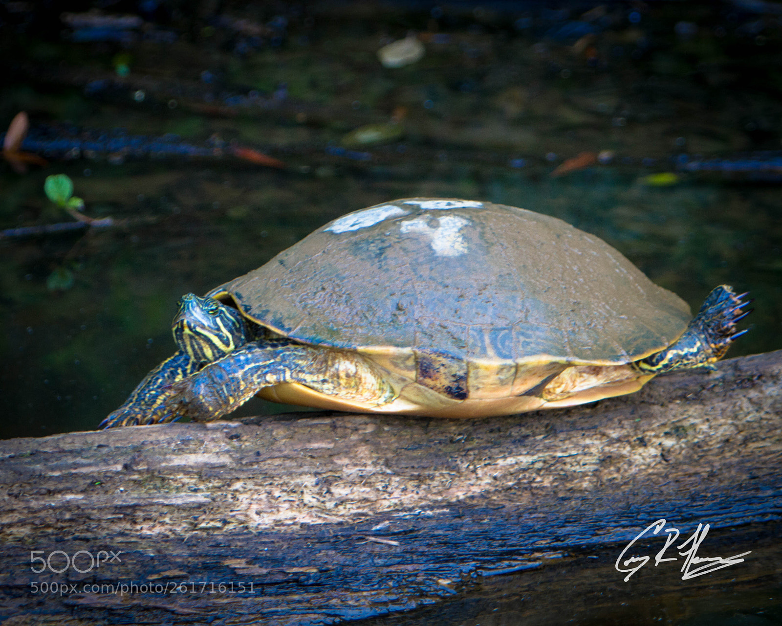 Canon EOS 7D sample photo. Untitled photography