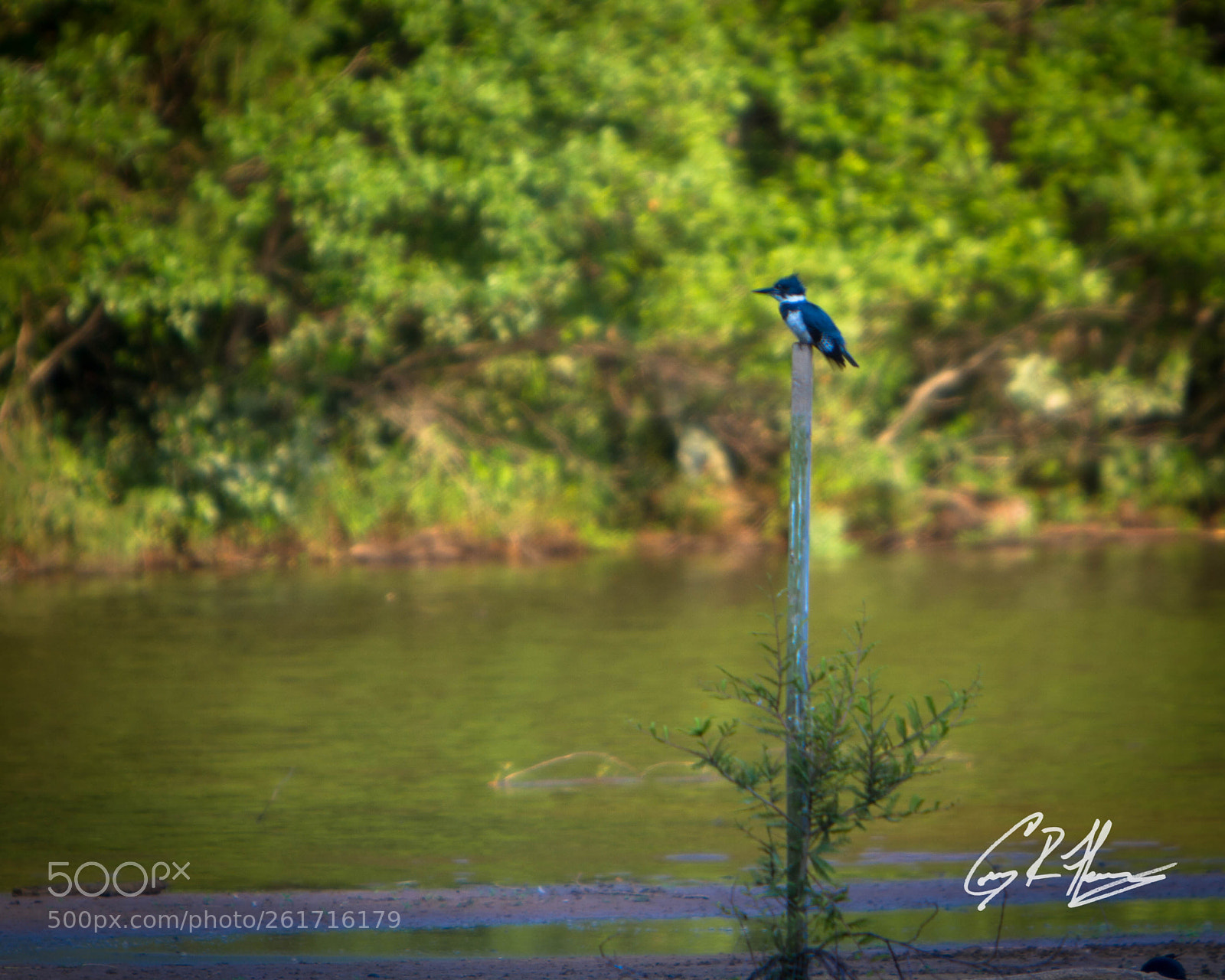 Canon EOS 7D sample photo. Untitled photography