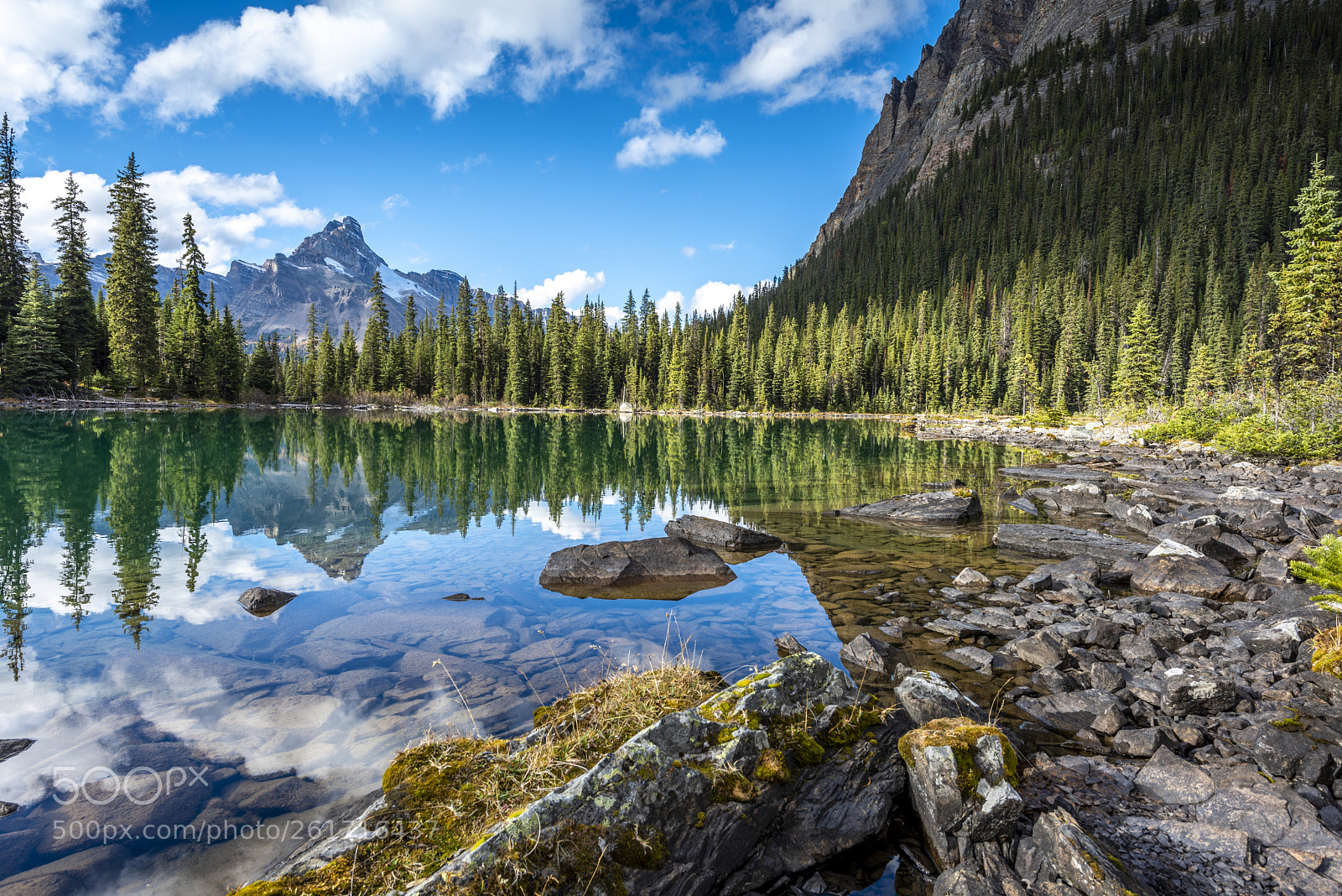 Nikon D810 sample photo. Afternoon reflection photography