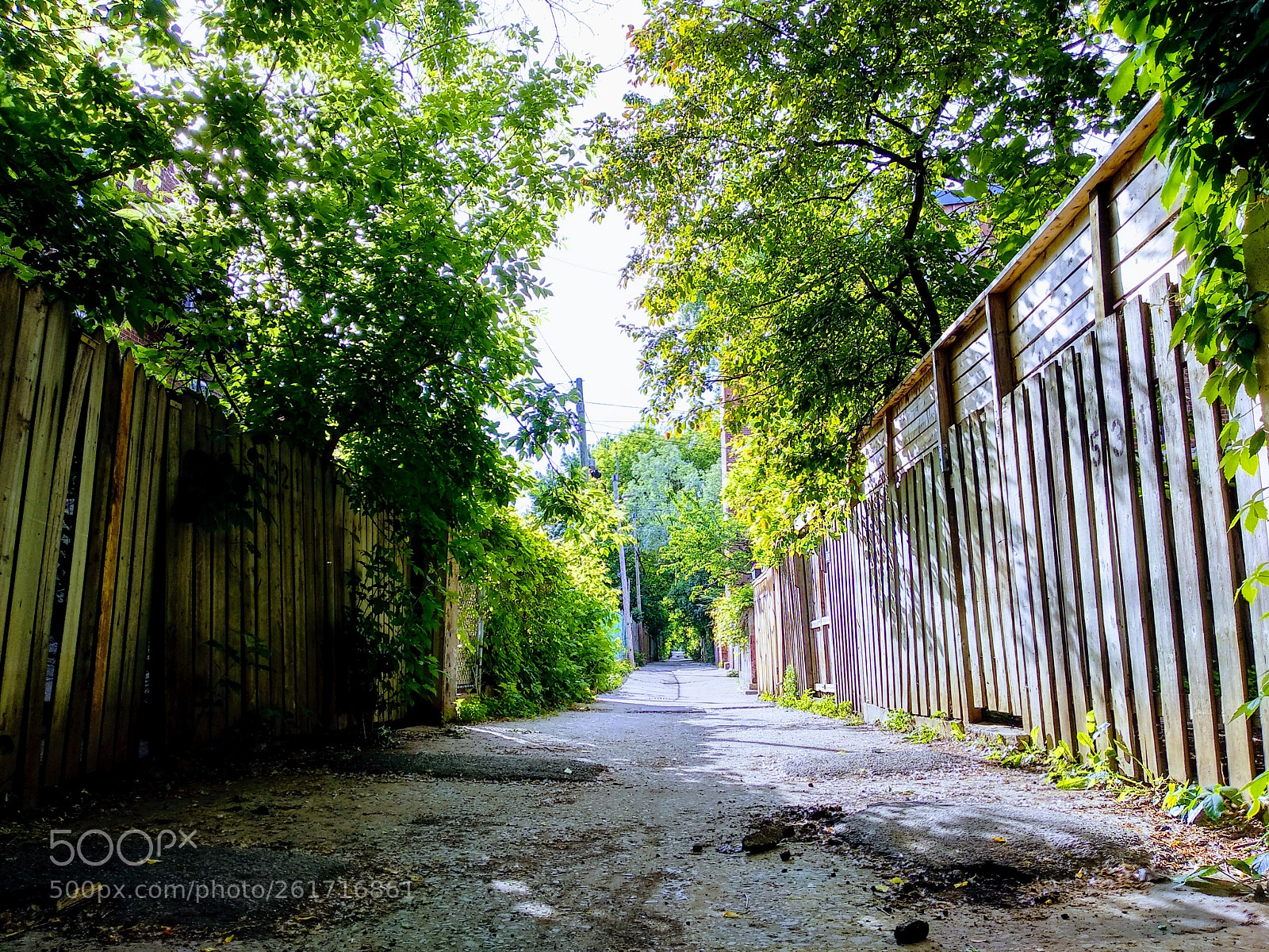 Xiaomi Mi A1 sample photo. Montreal backyard ii photography