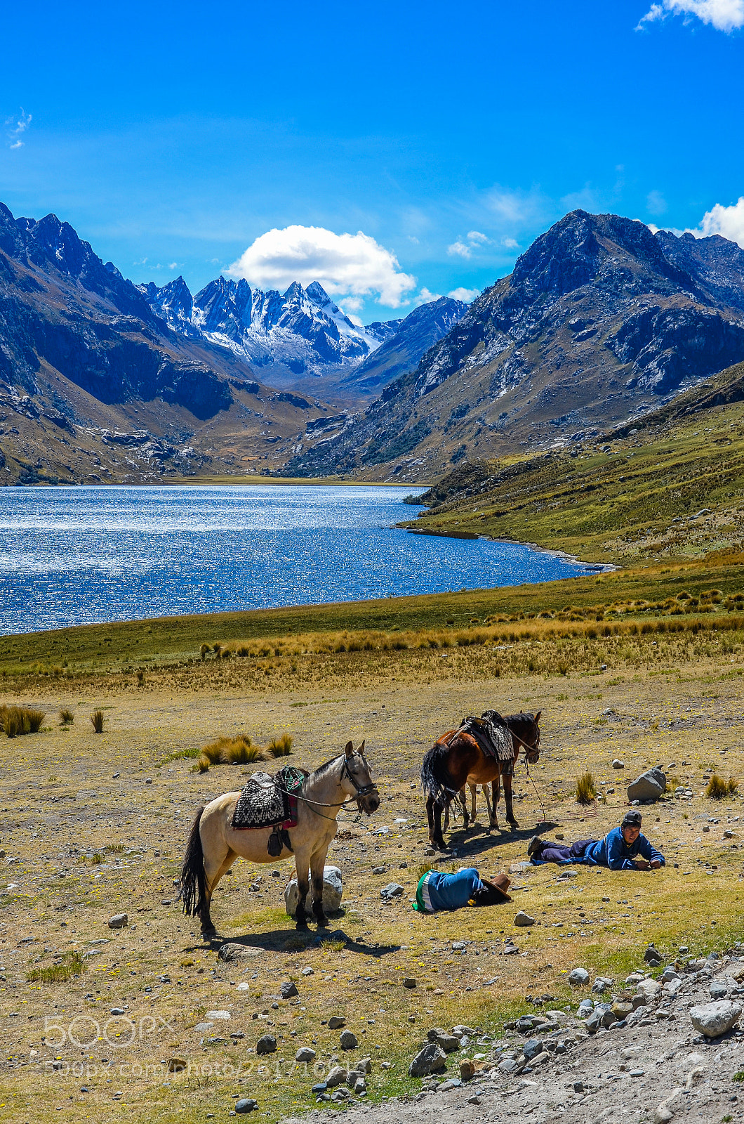 Nikon D7000 sample photo. High in the andes photography