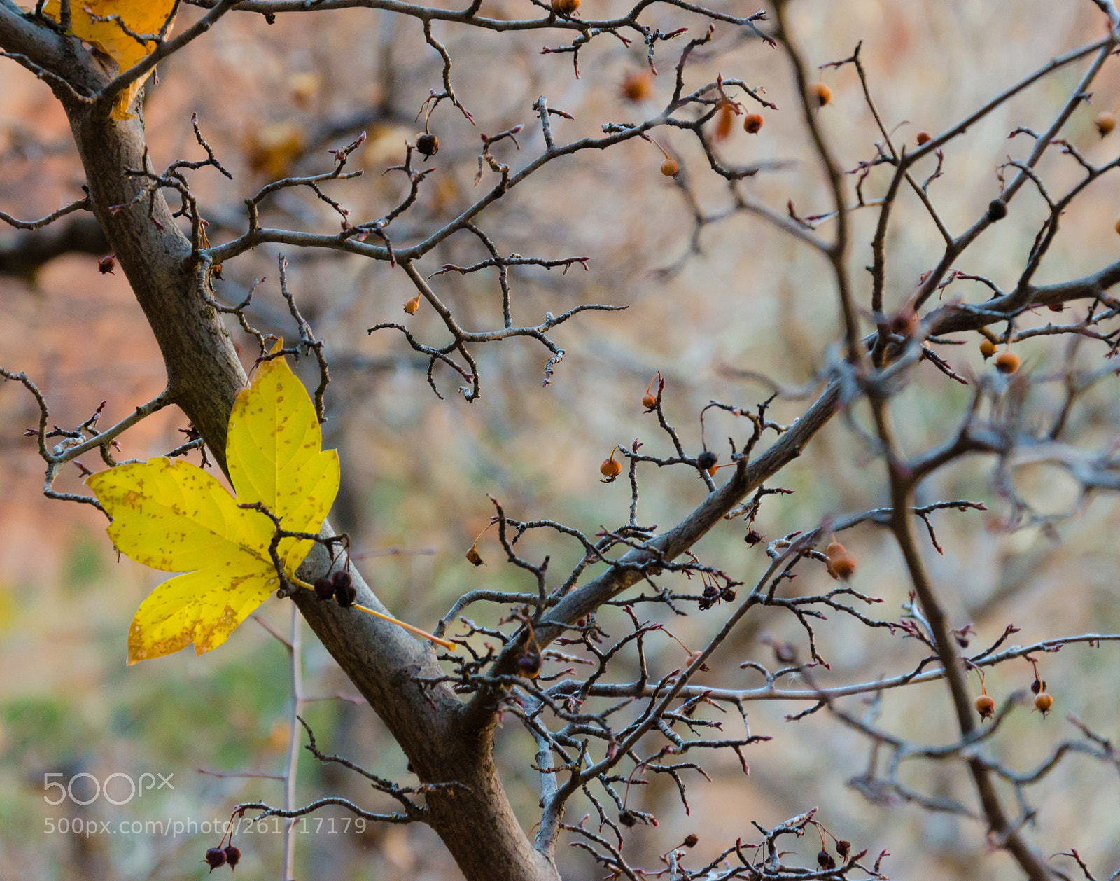 Nikon D7000 sample photo. Relativity photography