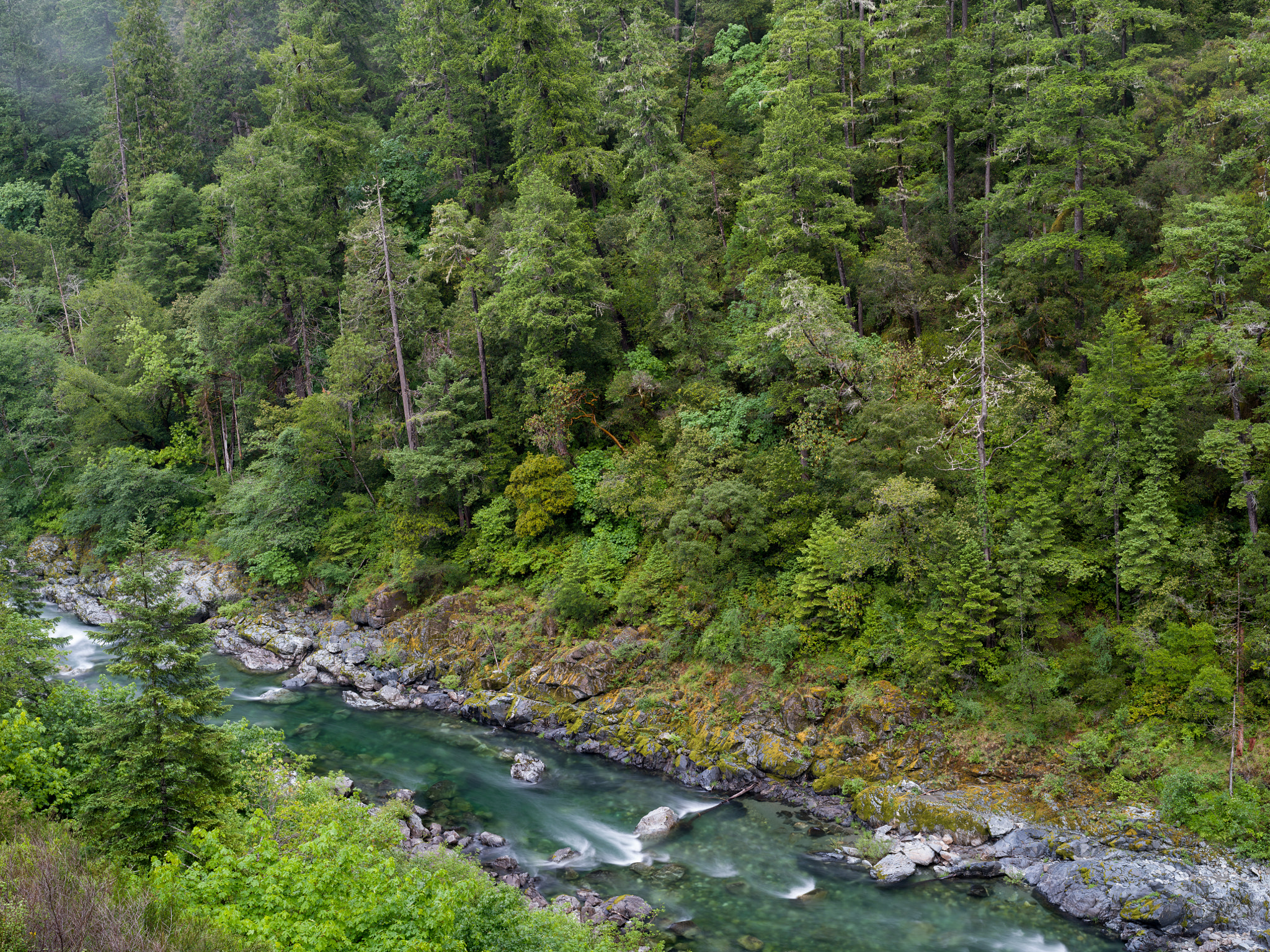 Pentax 645Z sample photo. Smith river photography