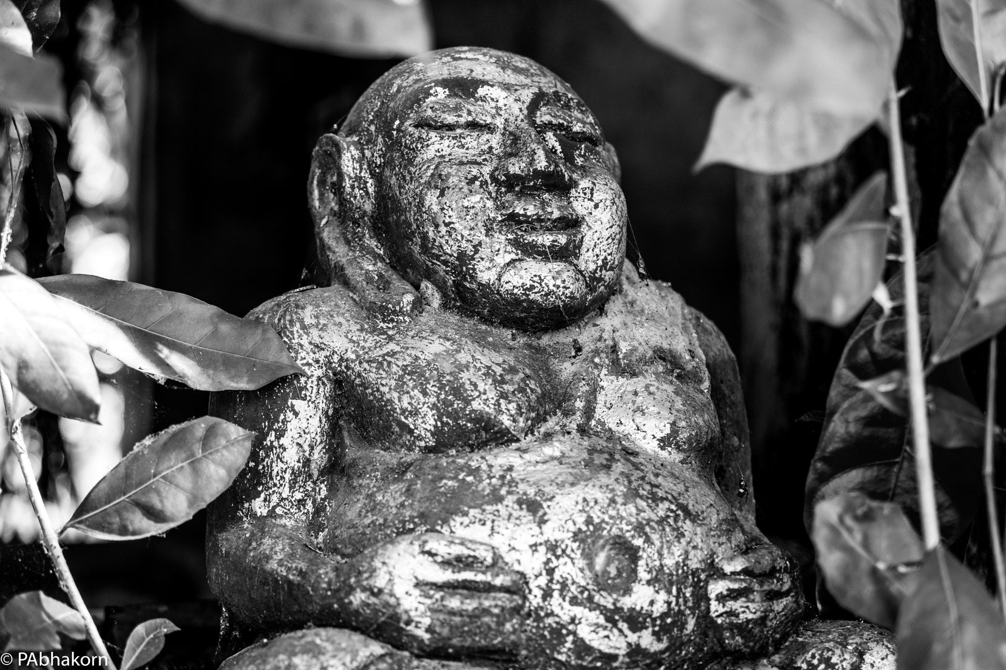 Leica SL (Typ 601) sample photo. Fat buddha photography