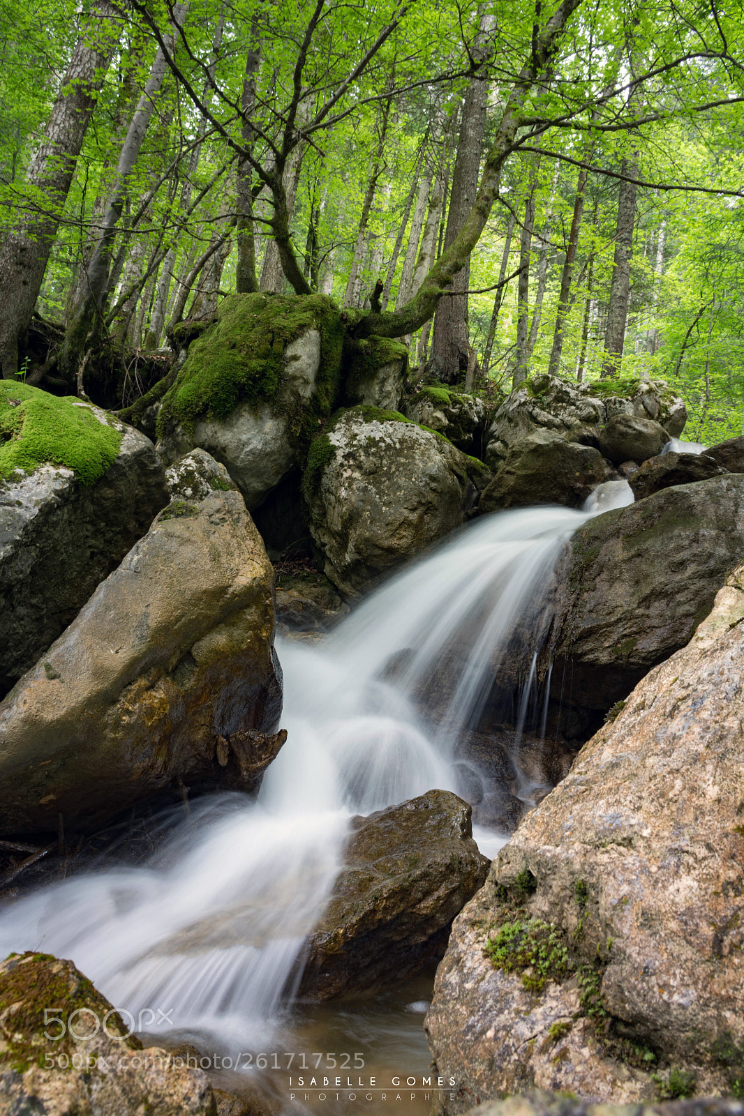 Nikon D7100 sample photo. Cascade gros plan chartreuse photography