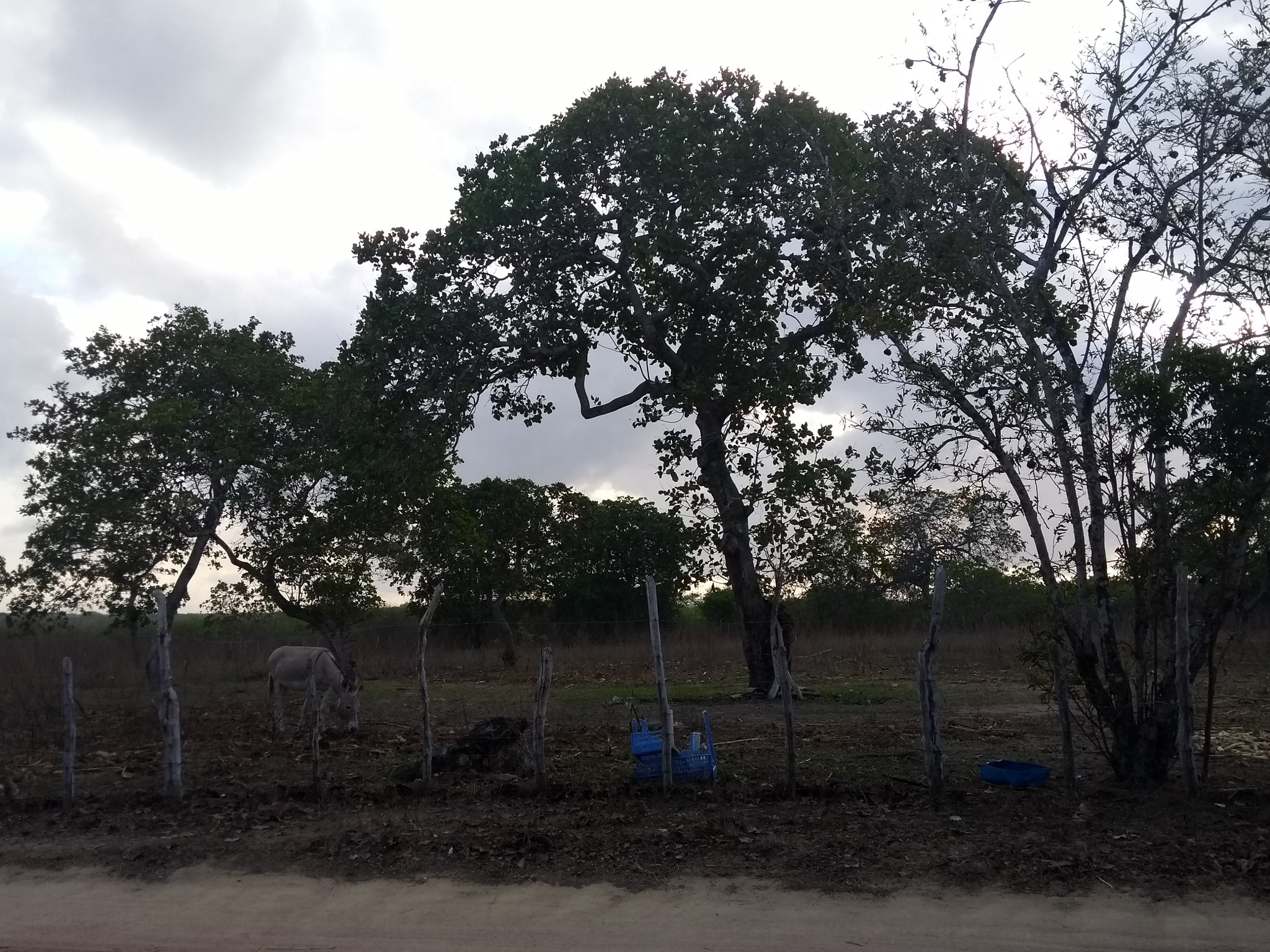 Motorola Moto G (5th Gen) sample photo